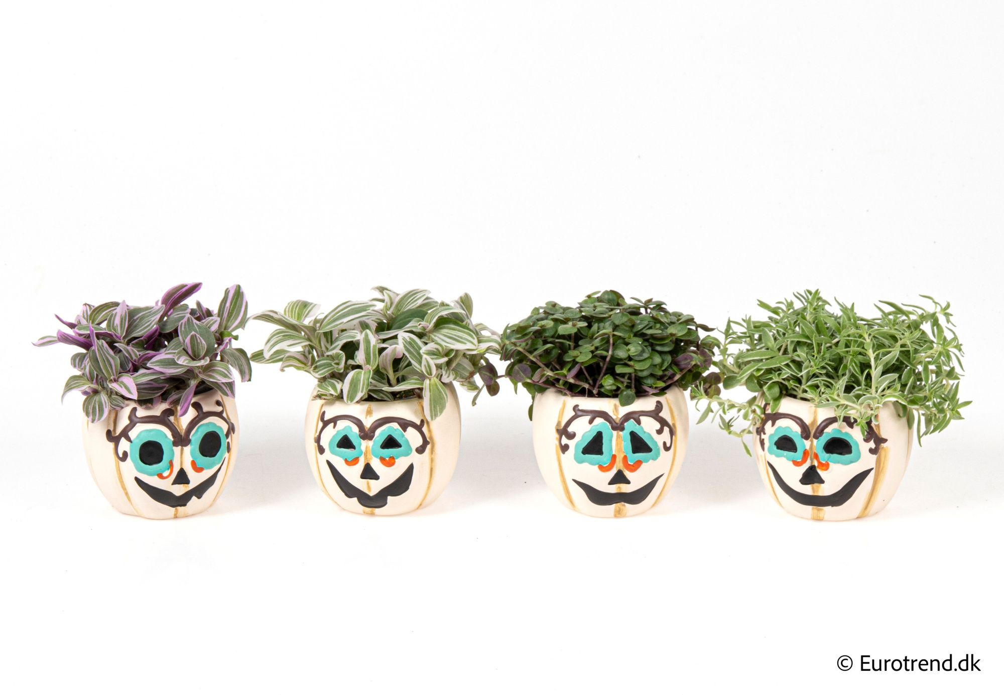 Green Mix in Halloween ceramic 2025, D 6 cm