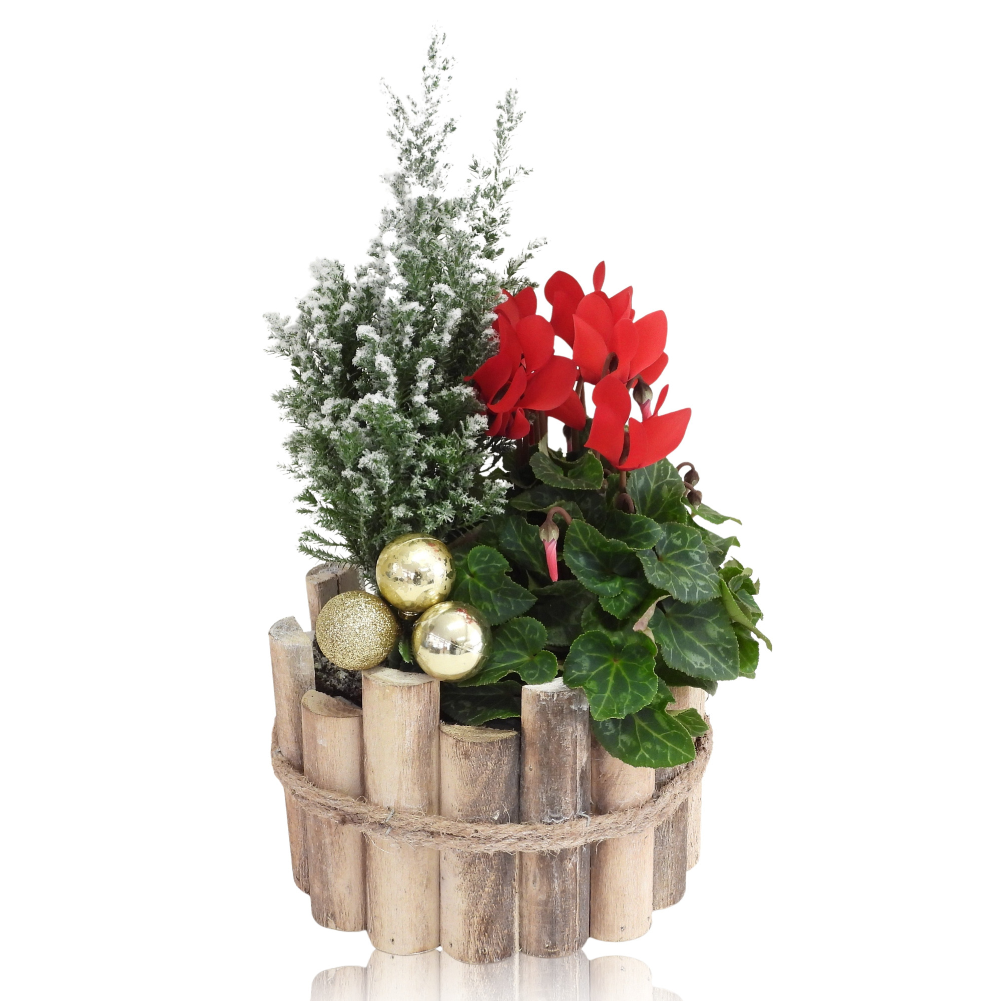 Collectie Anna Winter Arrangement in Houten Bak 17 cm, D 17 cm