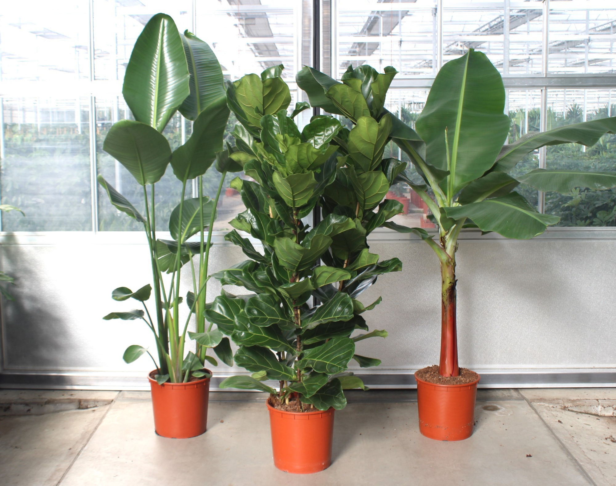 Mixkar 1428-XL, D 34 cm