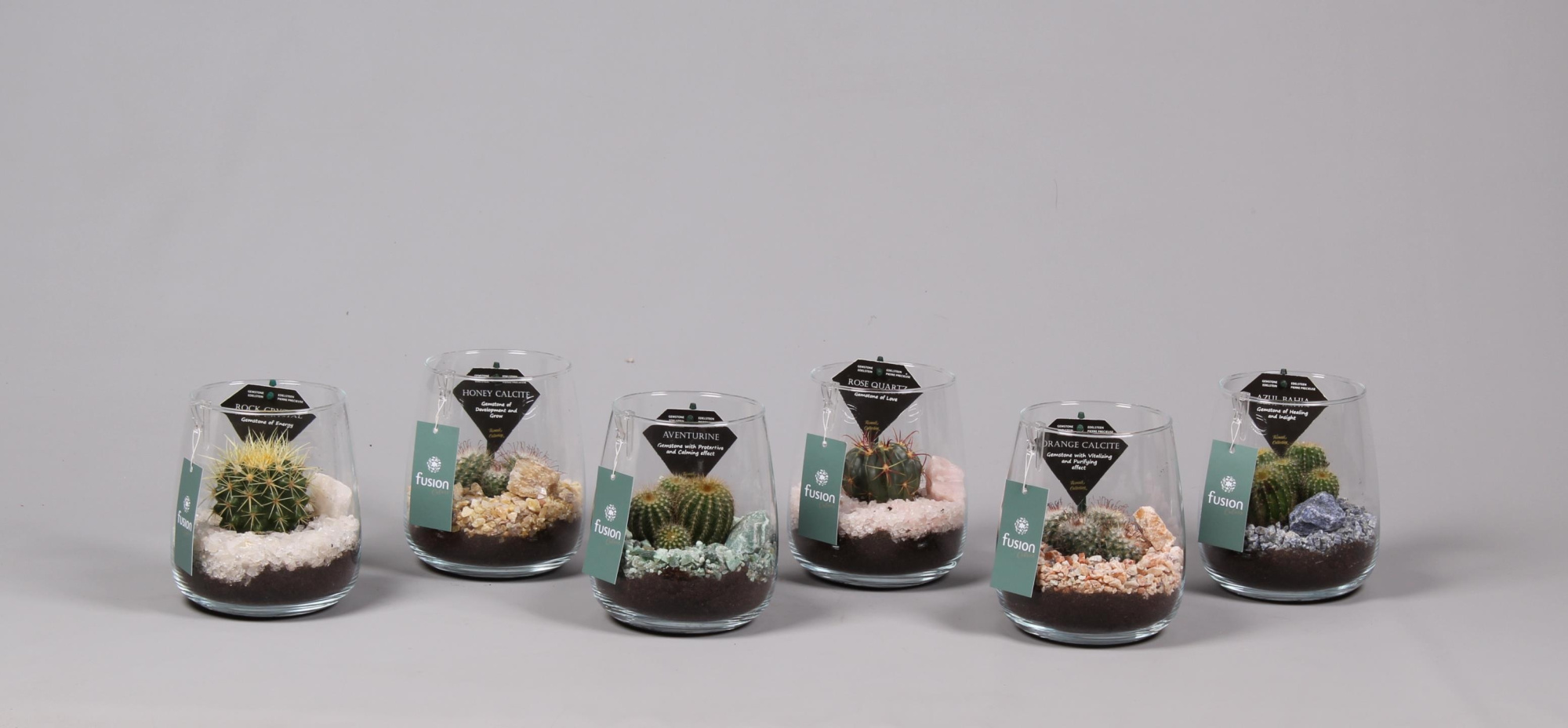 Glas Alzada Turmali Collection edelstenen met Cactussen, D 14 cm