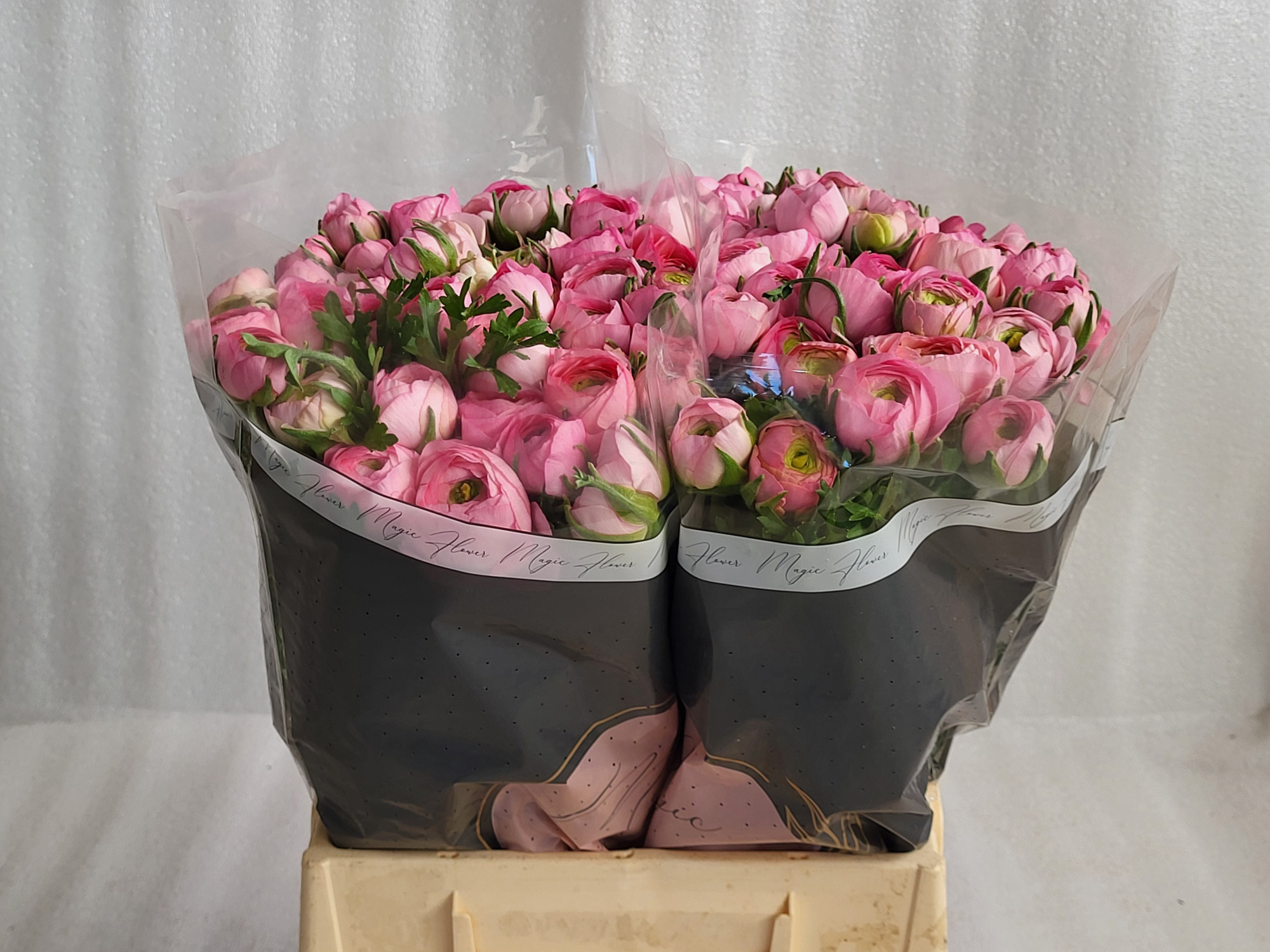 Ранункулус Азур Лайт Пинк 35 (светло-роз.), шт.