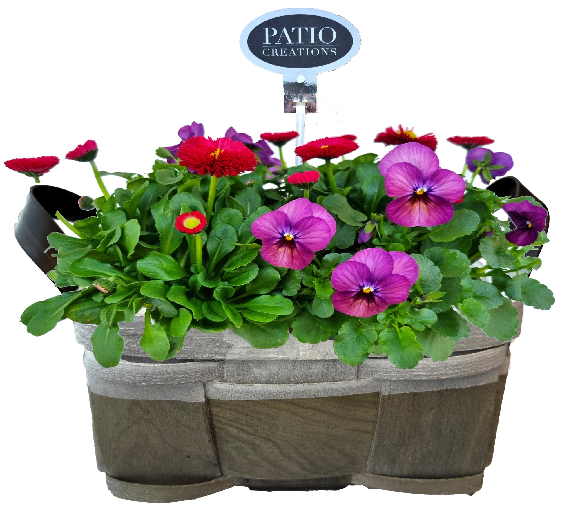 VB825-9001 Viola/Bellis Fenna lederlook handvat S, D 21