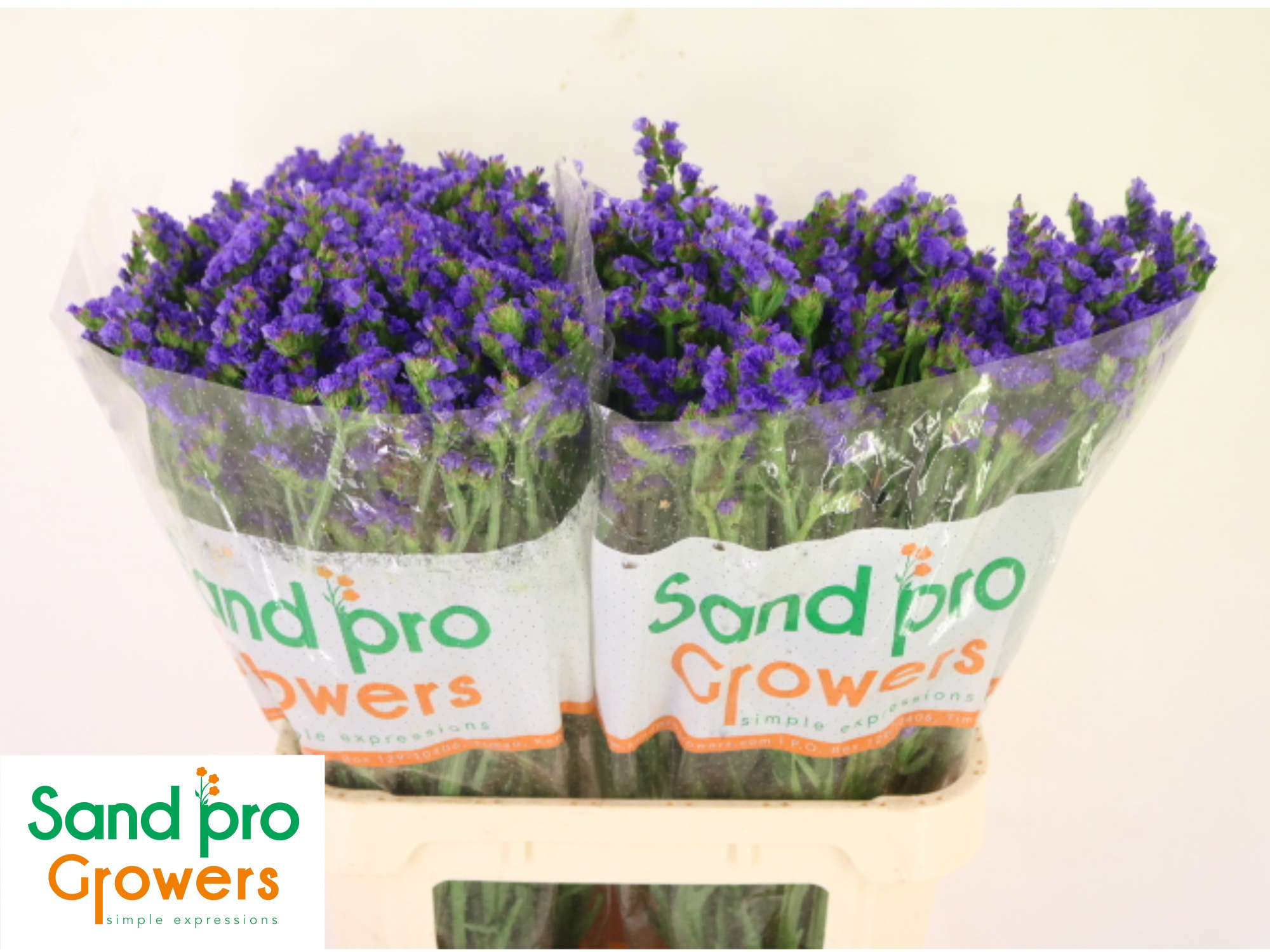 Статица Пиппа Вингз 80, шт.