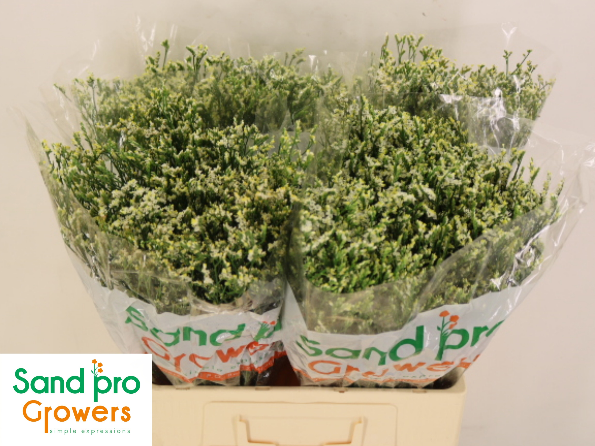 Лимониум Кул Даймонд 60, шт.