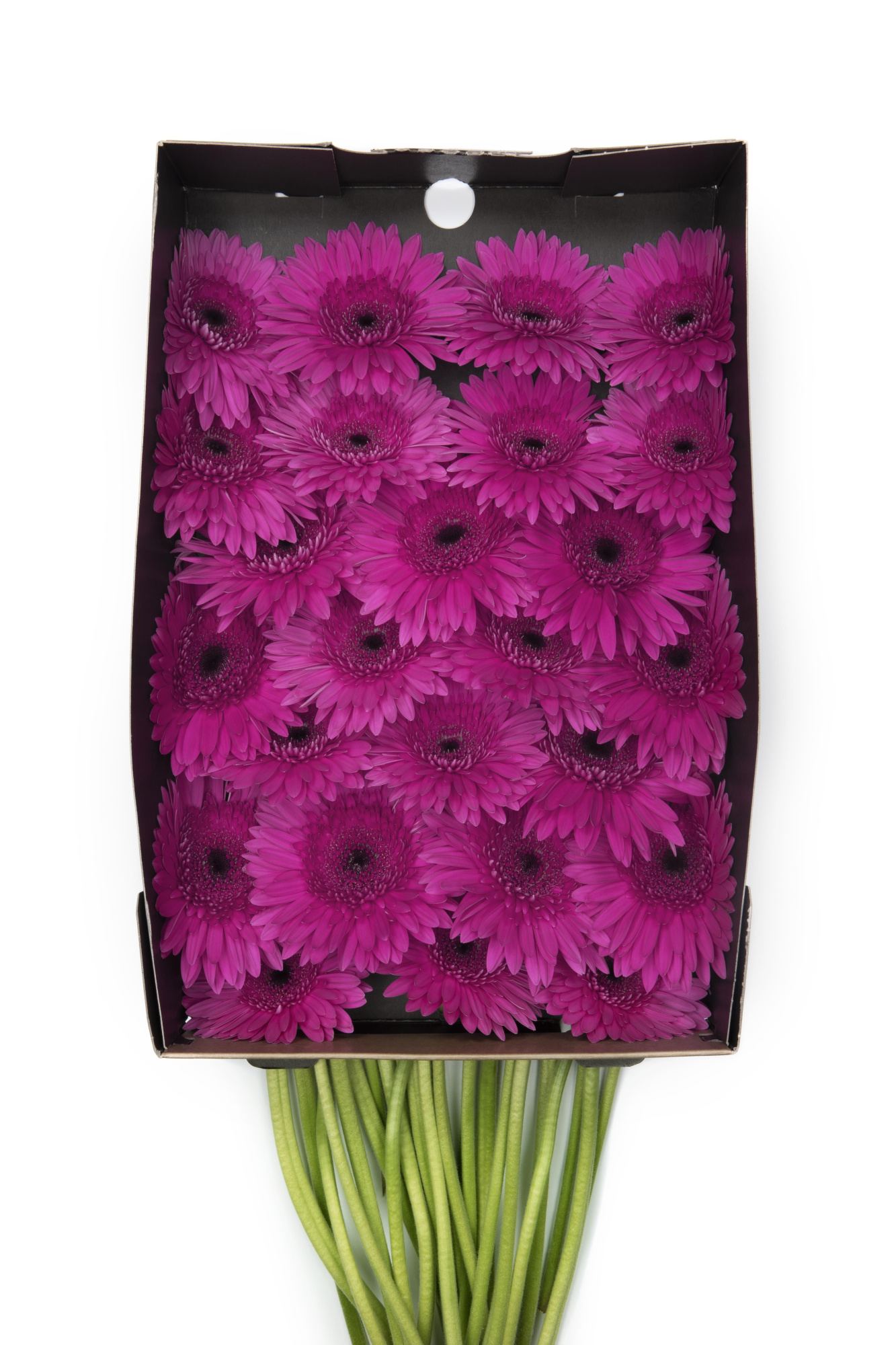 Гербера Бон Диа x50, шт.