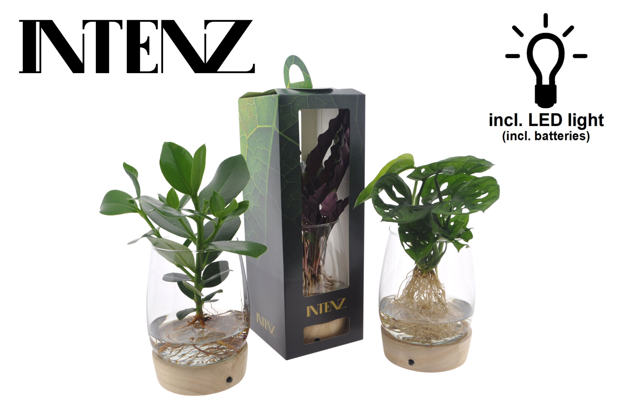 Intenz mix in Kingston glas + LED + verpakking - levertijd: 24 u, D 12 cm