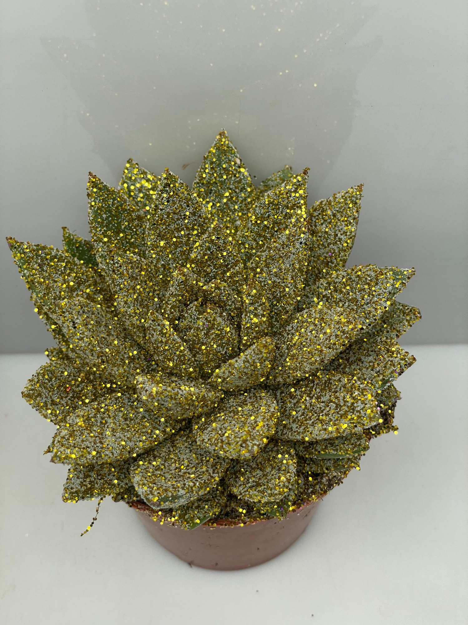 452 Kerstster BIO Twinkle glitter goud 8,5 cm, D 8,5 cm