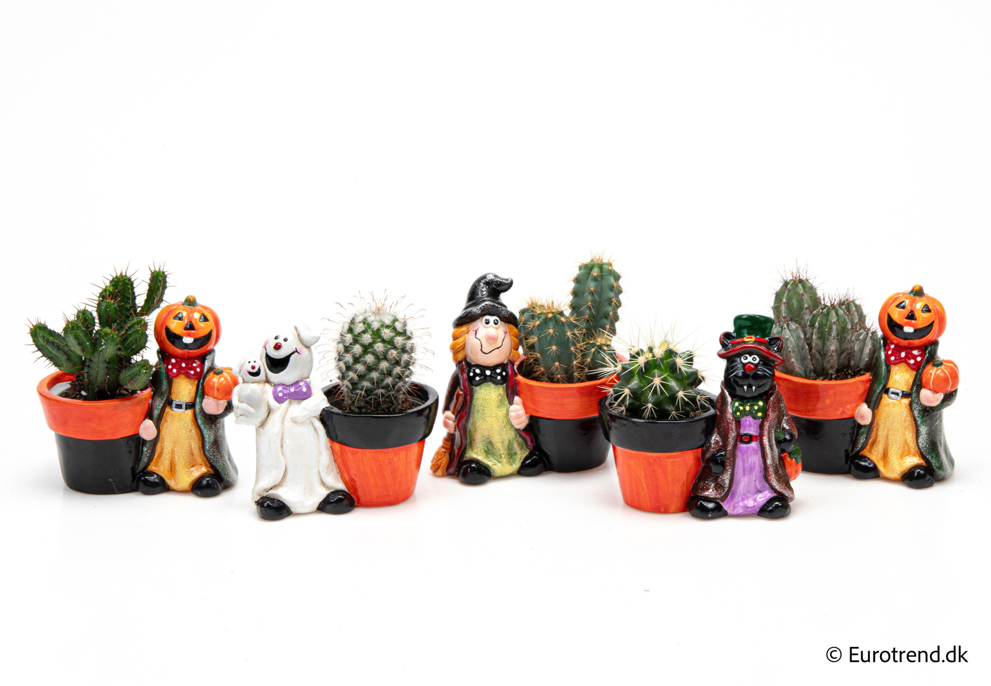 Cactus Mix in Halloween ceramic 2025, D 6 cm
