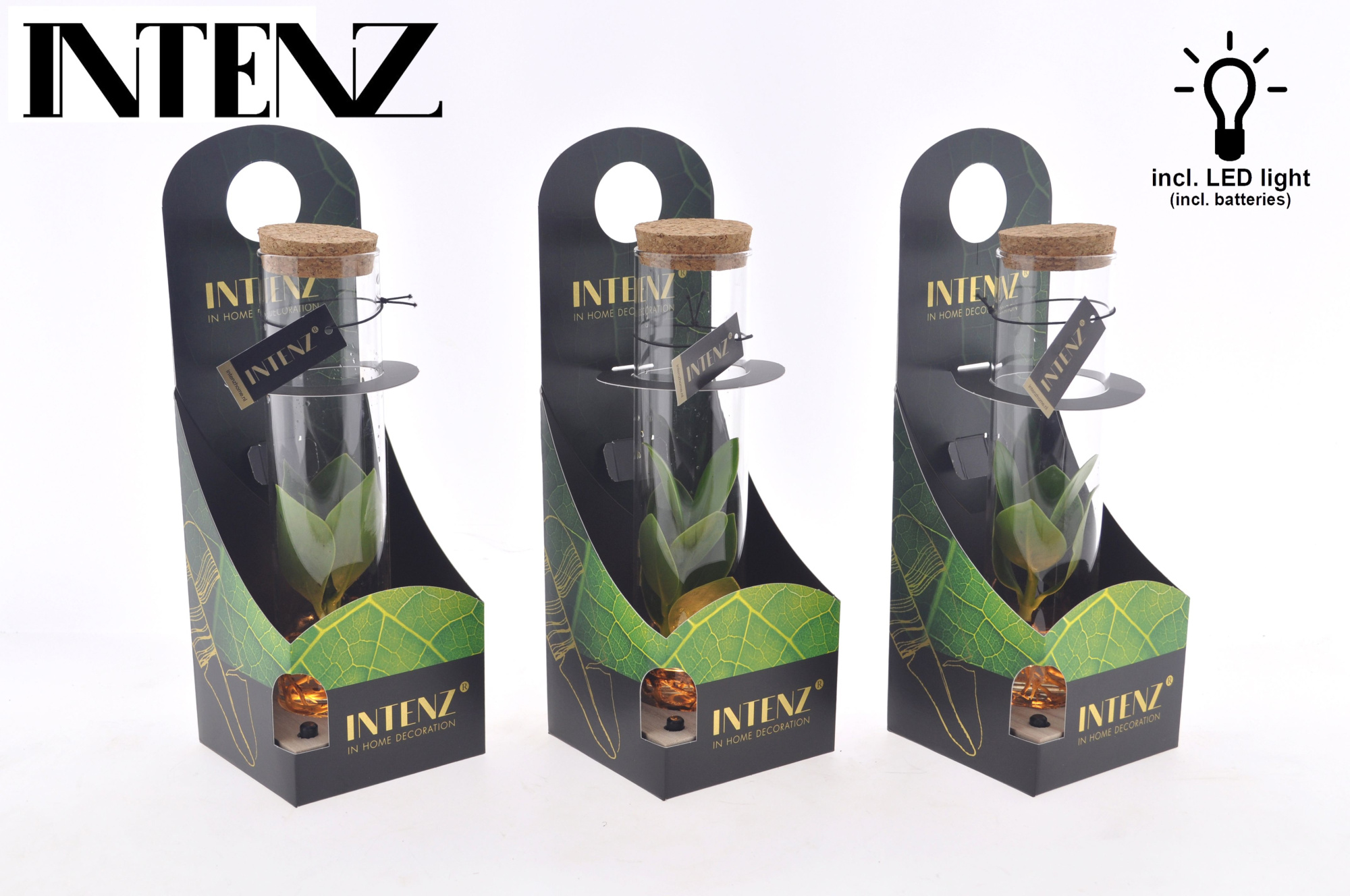 Clusia in Tube glas + LED + verpakking-levertijd 24u, D 5 cm