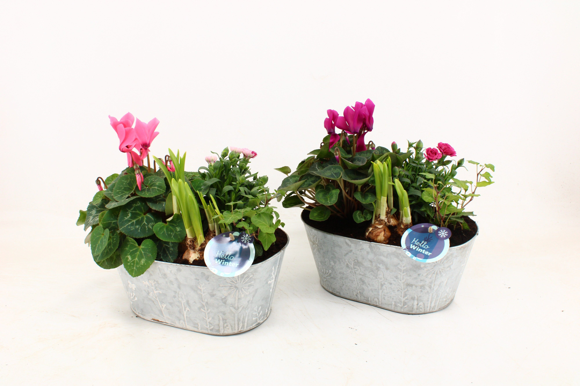 Arrangementen Snow in rechthoekige zinkepot Job, D 28