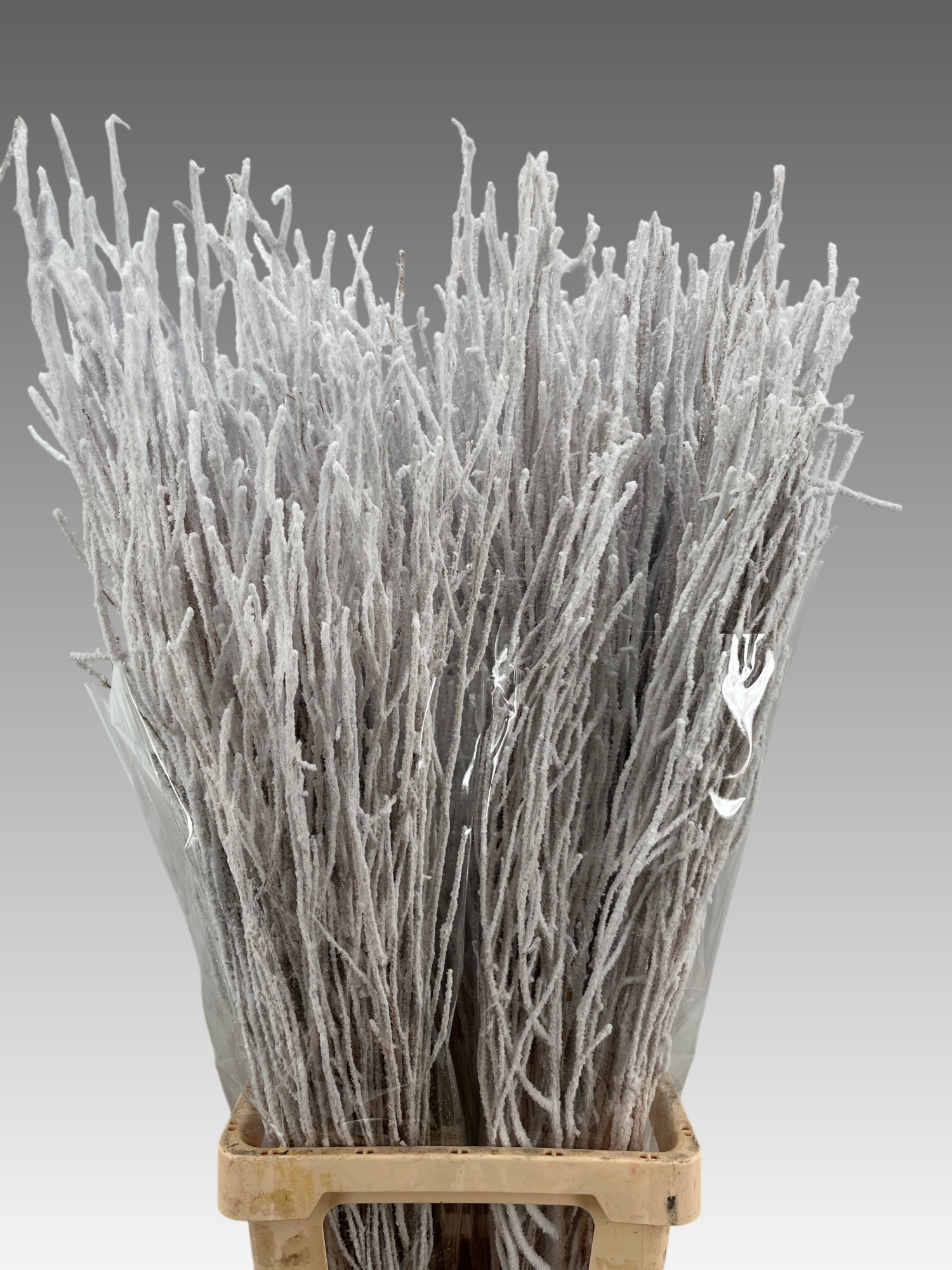 Беркетакен Овериг Крашеный (краш. ) 100, шт.