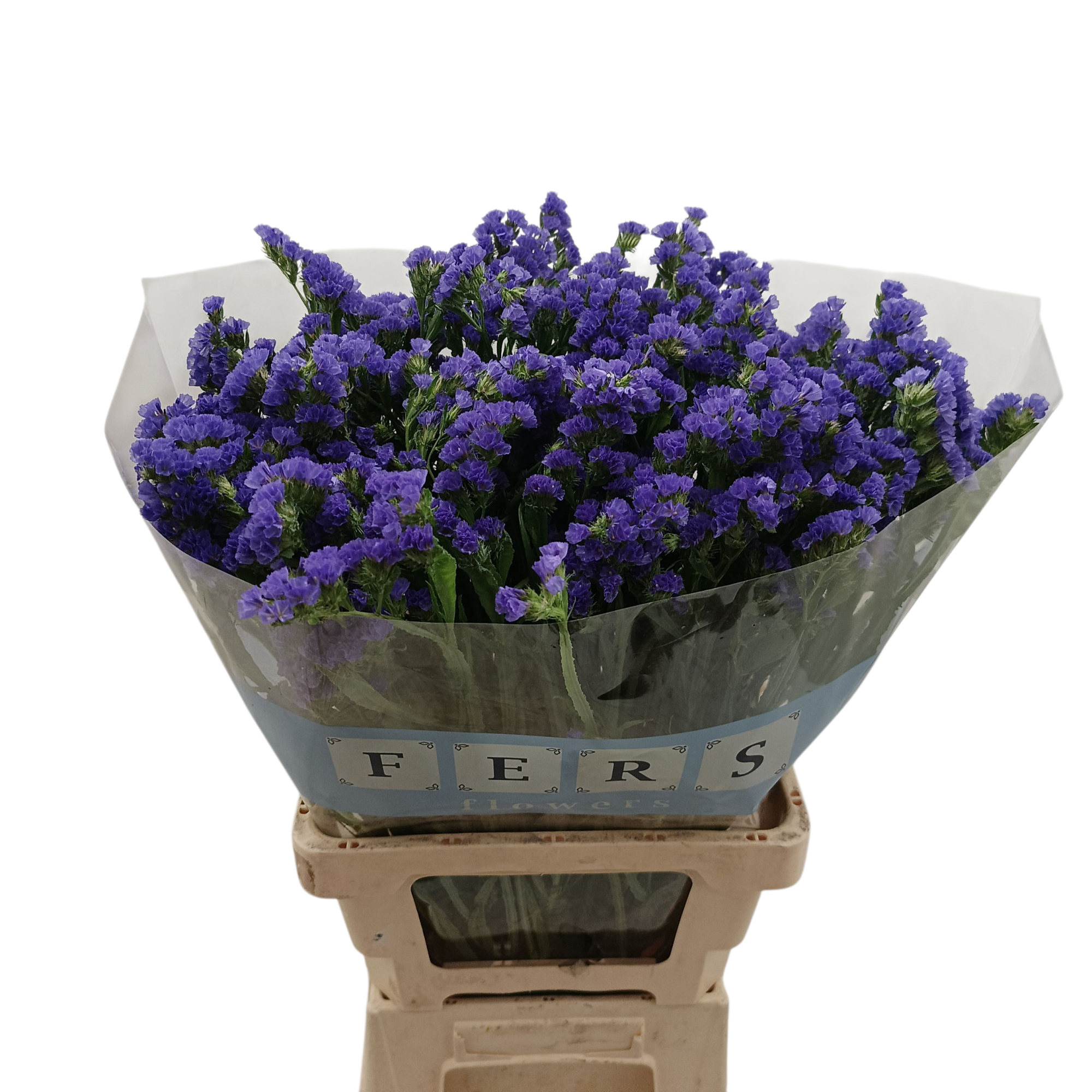 Статица Кристал Дарк Блю 60 (фиолет.), шт.