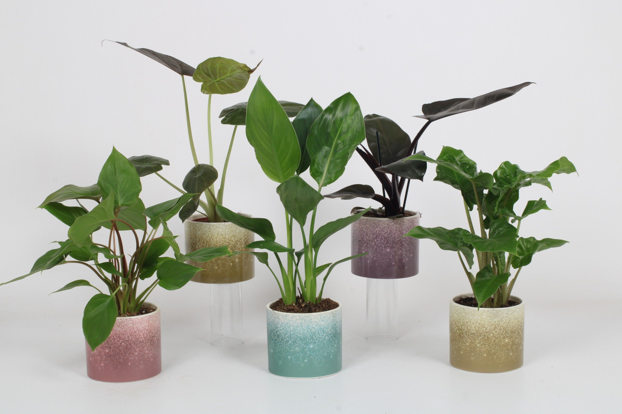 Luxe mix A in Elsa Keramiek - mailing week 7-9, D 12 cm