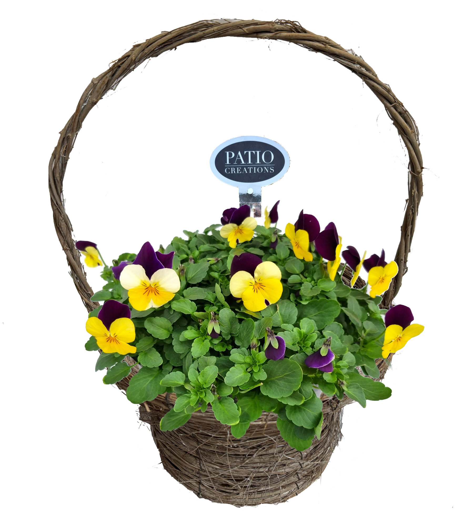 V831-9323 Viola hengselmand Jens, D 23 cm