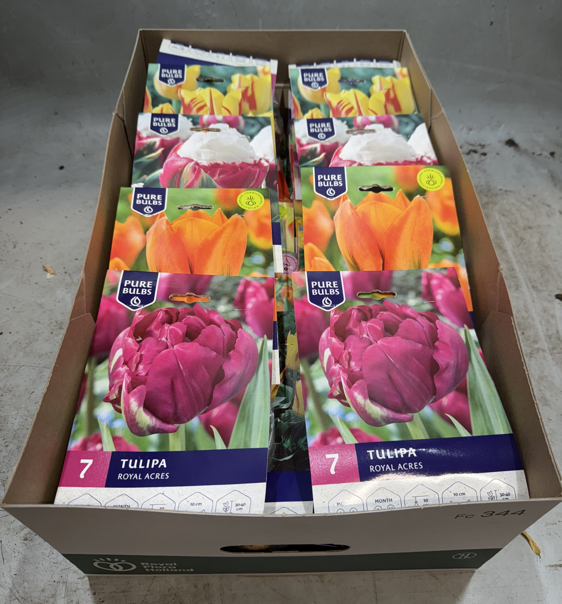 Tulipa mix bloembollen (15 soorten x2), D 12 cm
