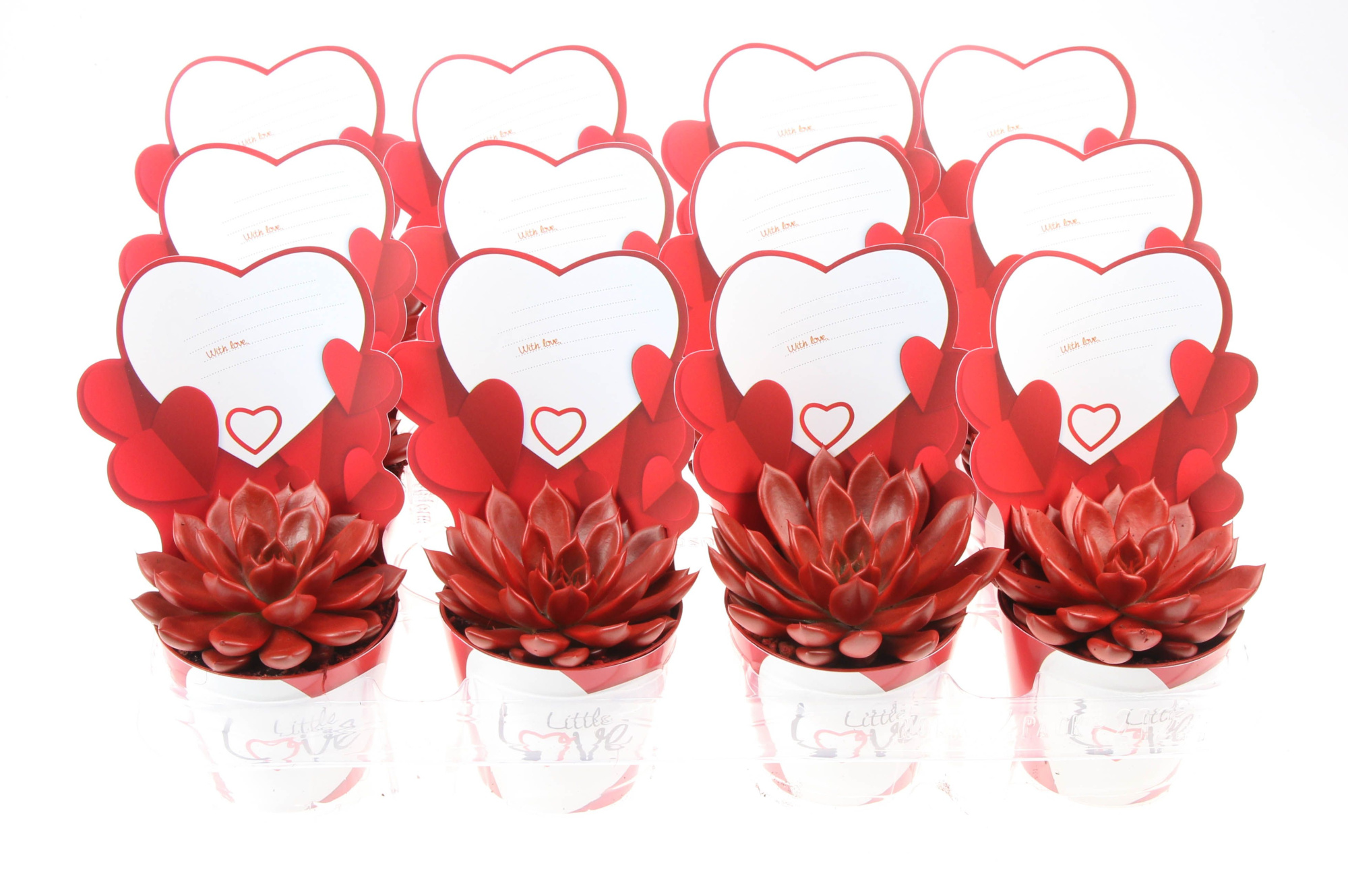 Potcover little love red, D 8,5