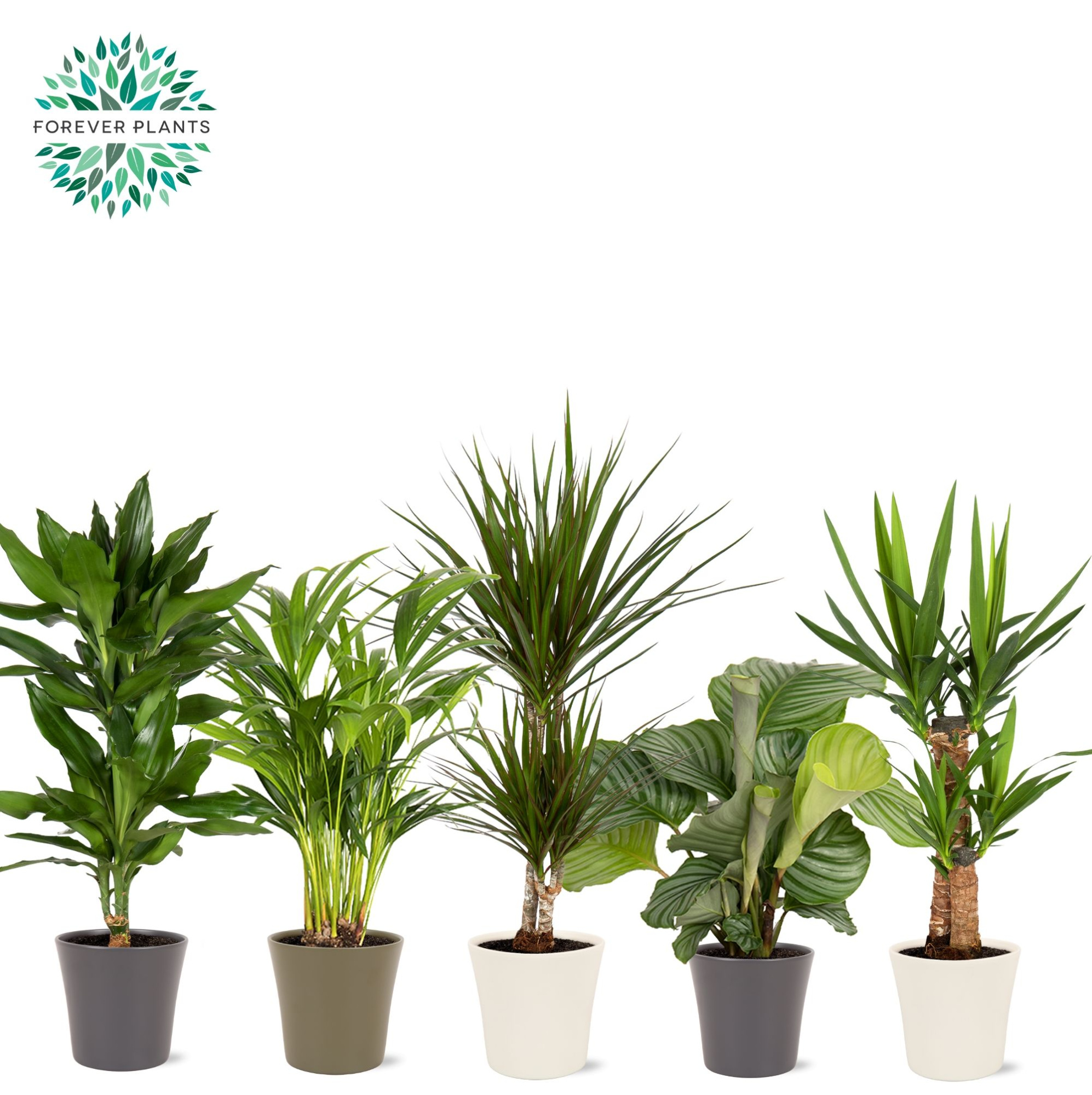 Groen Mix p19 KARLA Keramiek, D 19