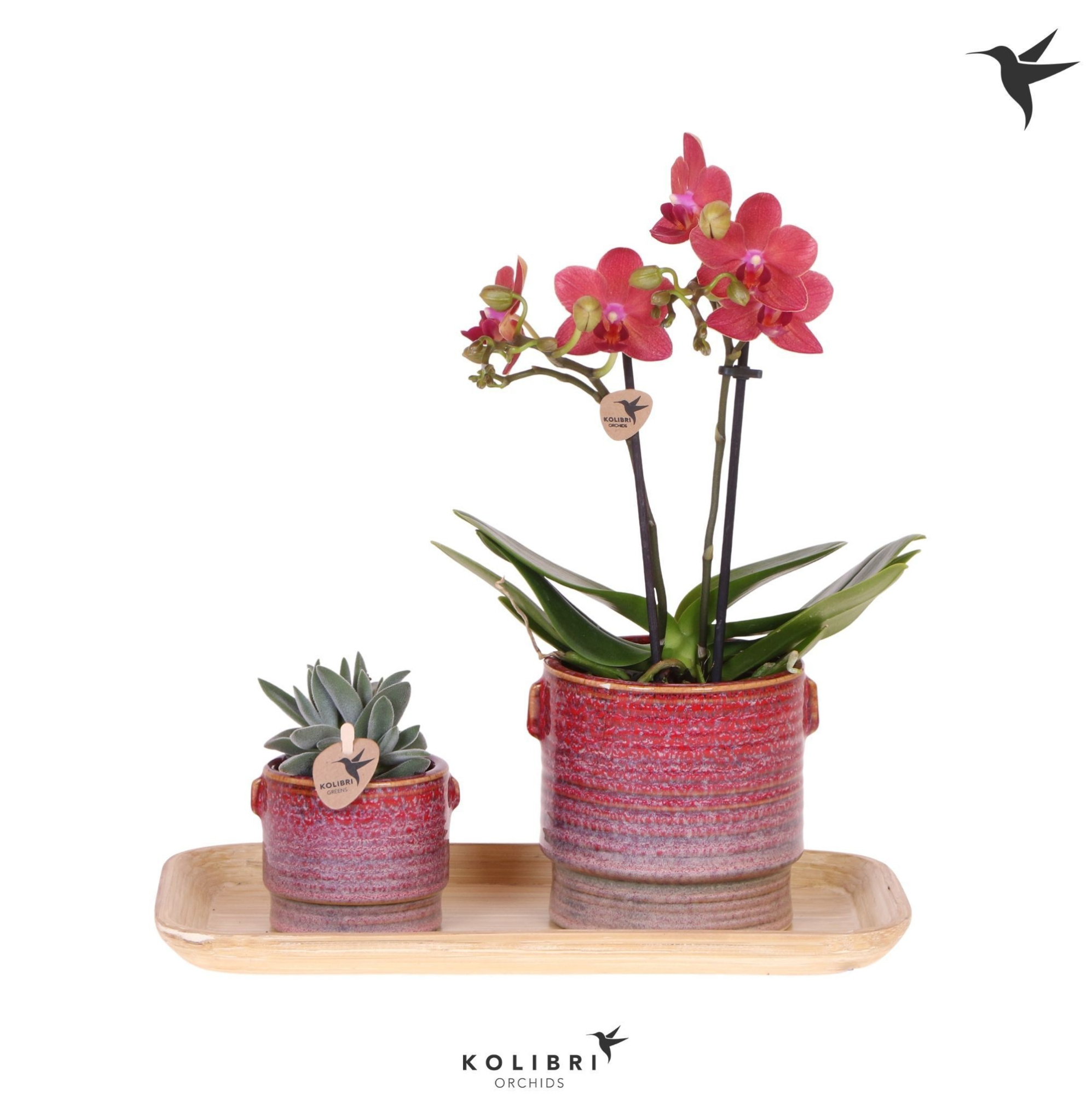 Kolibri Gift Set small Bold Seventies, D 18 cm