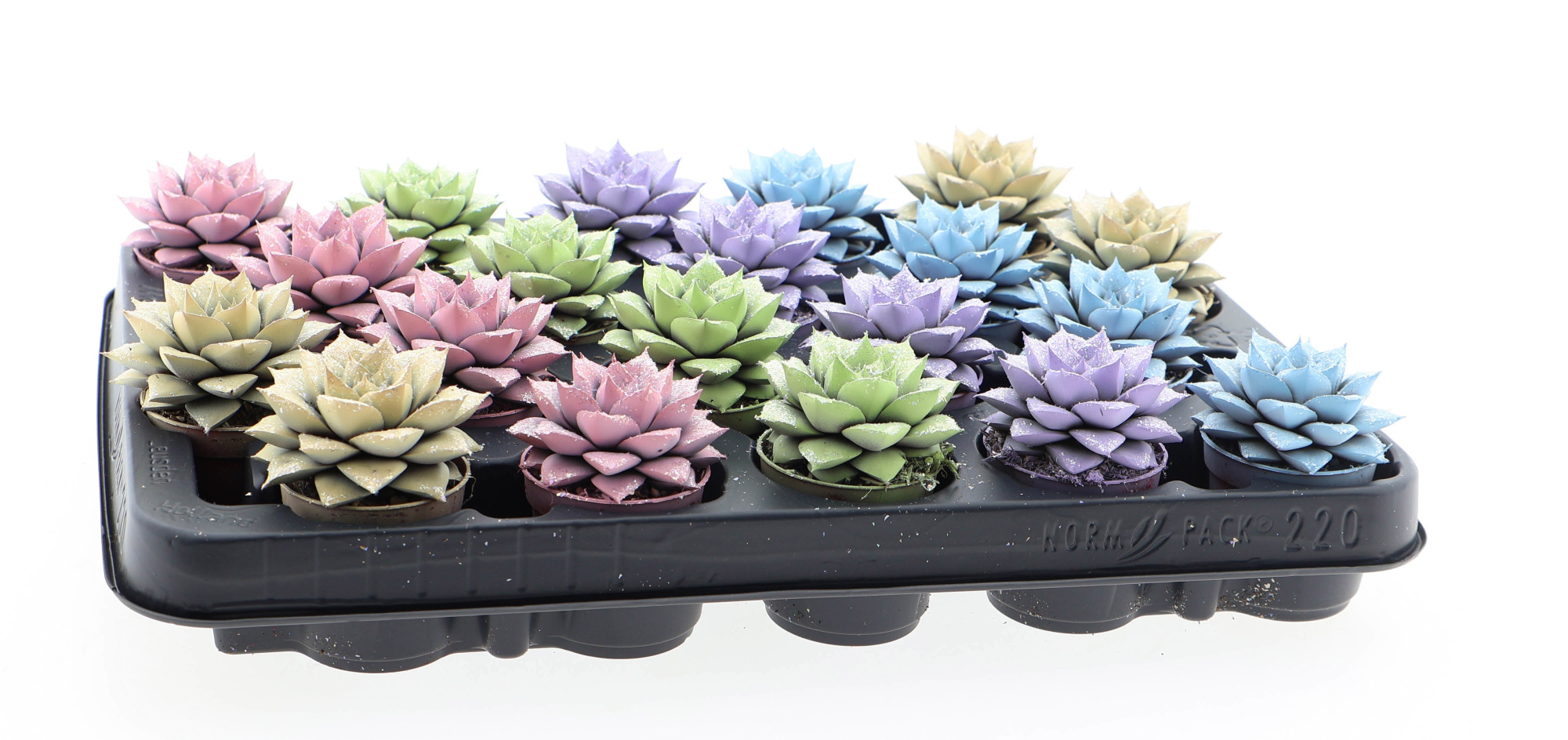 Purper pastel glittermix, D 5,5