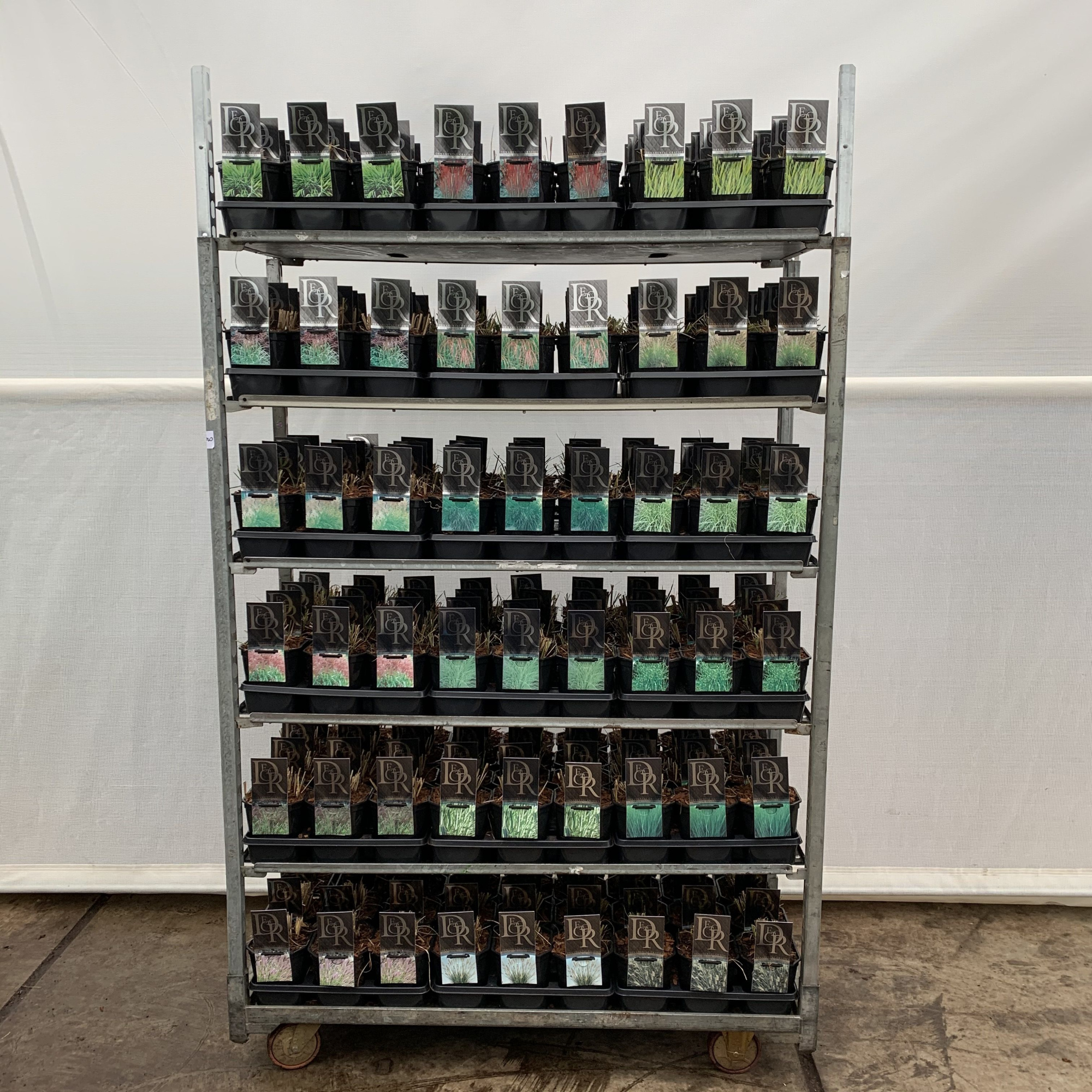 Siergras Mixcc Exclusief V2, D 17