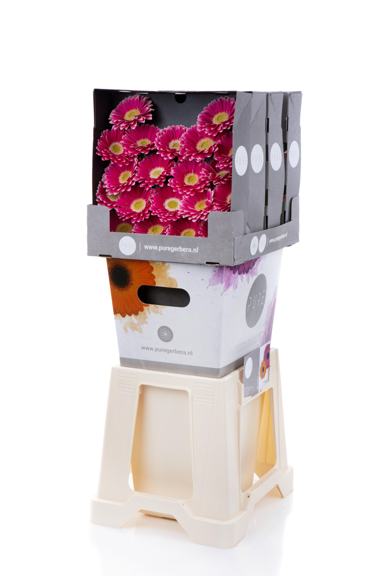 Гермини Твигги, шт.