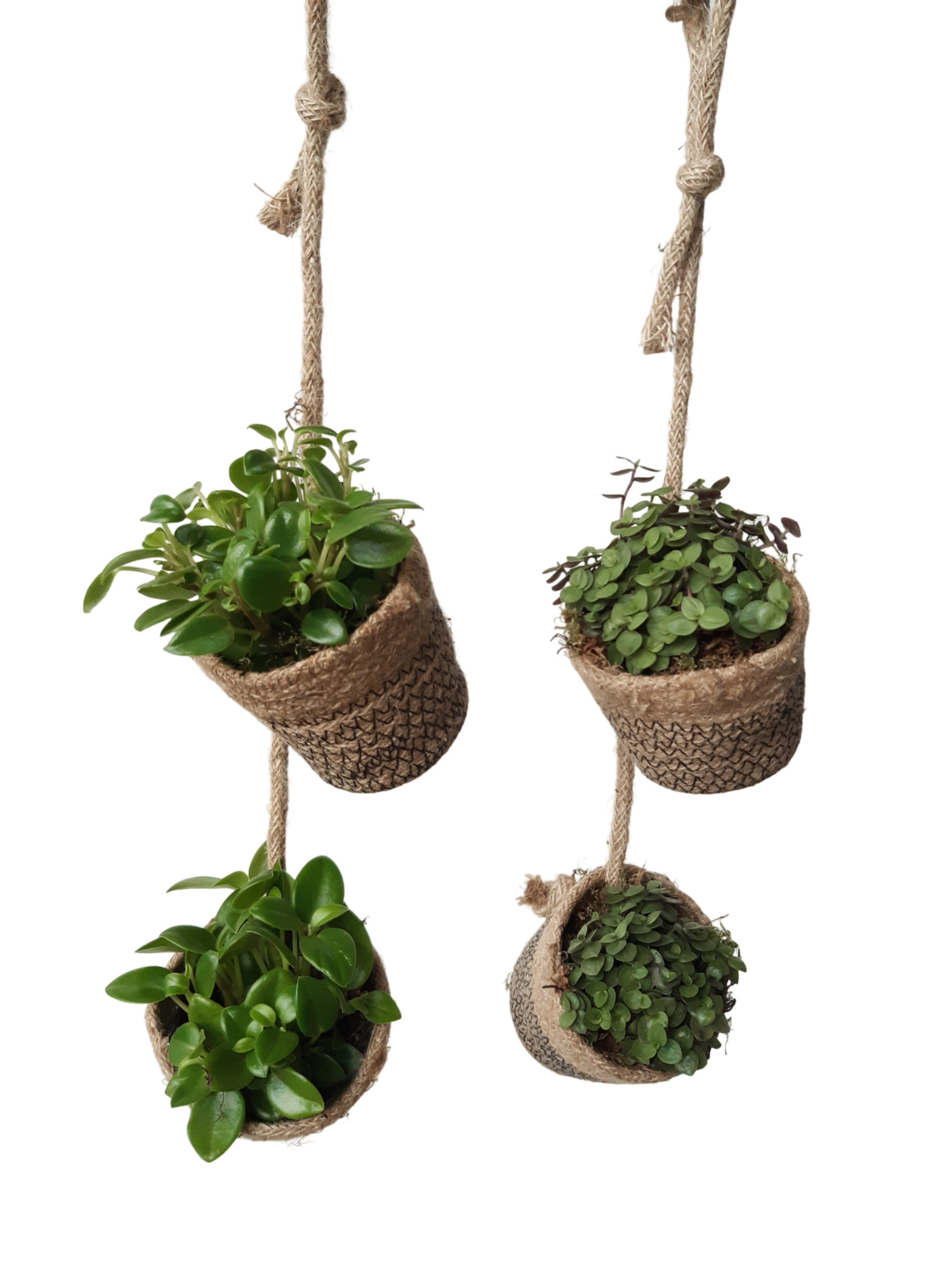 GL30GEM Jute Garland. 2xmini jute mand hangend mixtray, D 8 cm