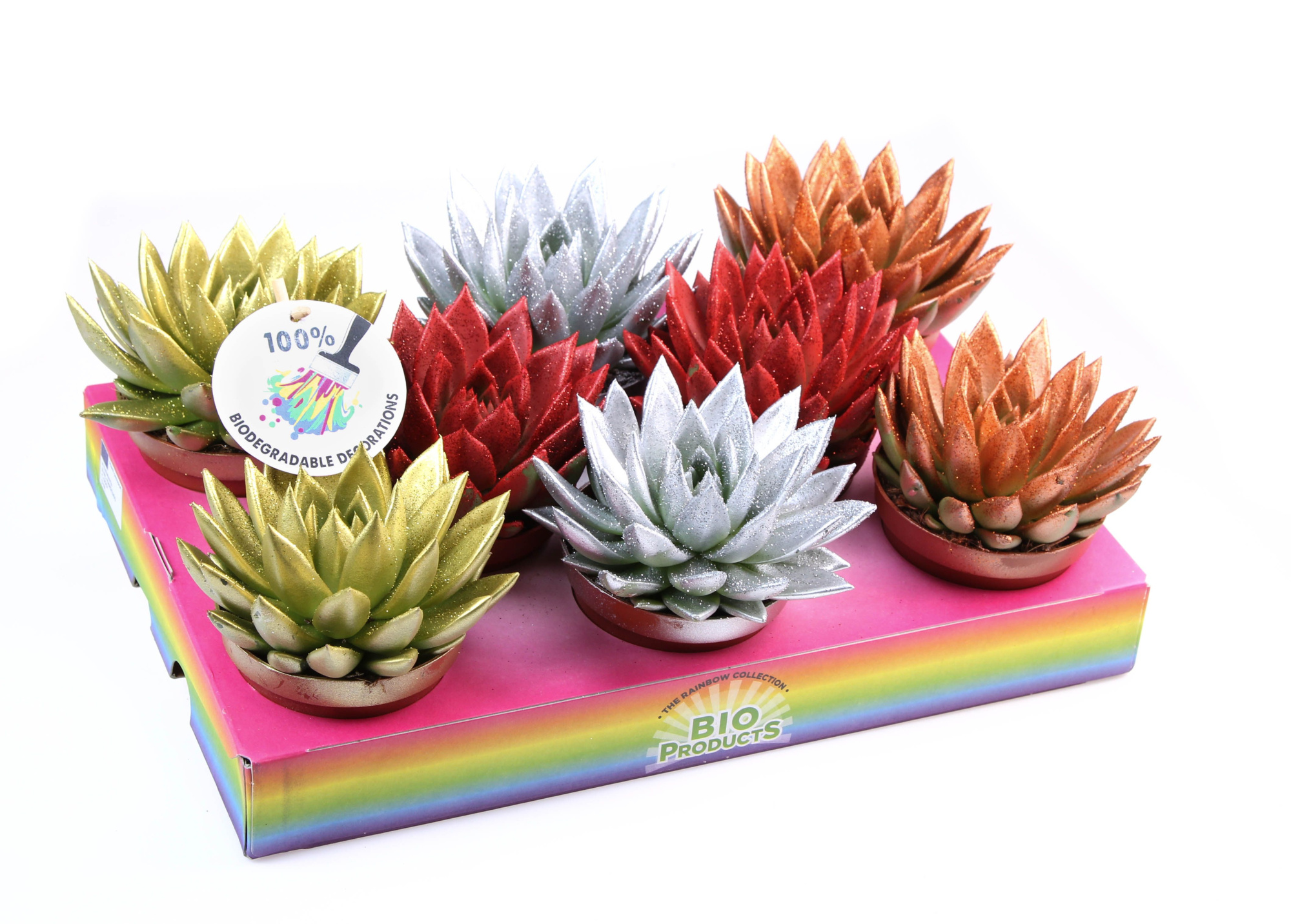 Bio miranda glitter mix, D 10,5