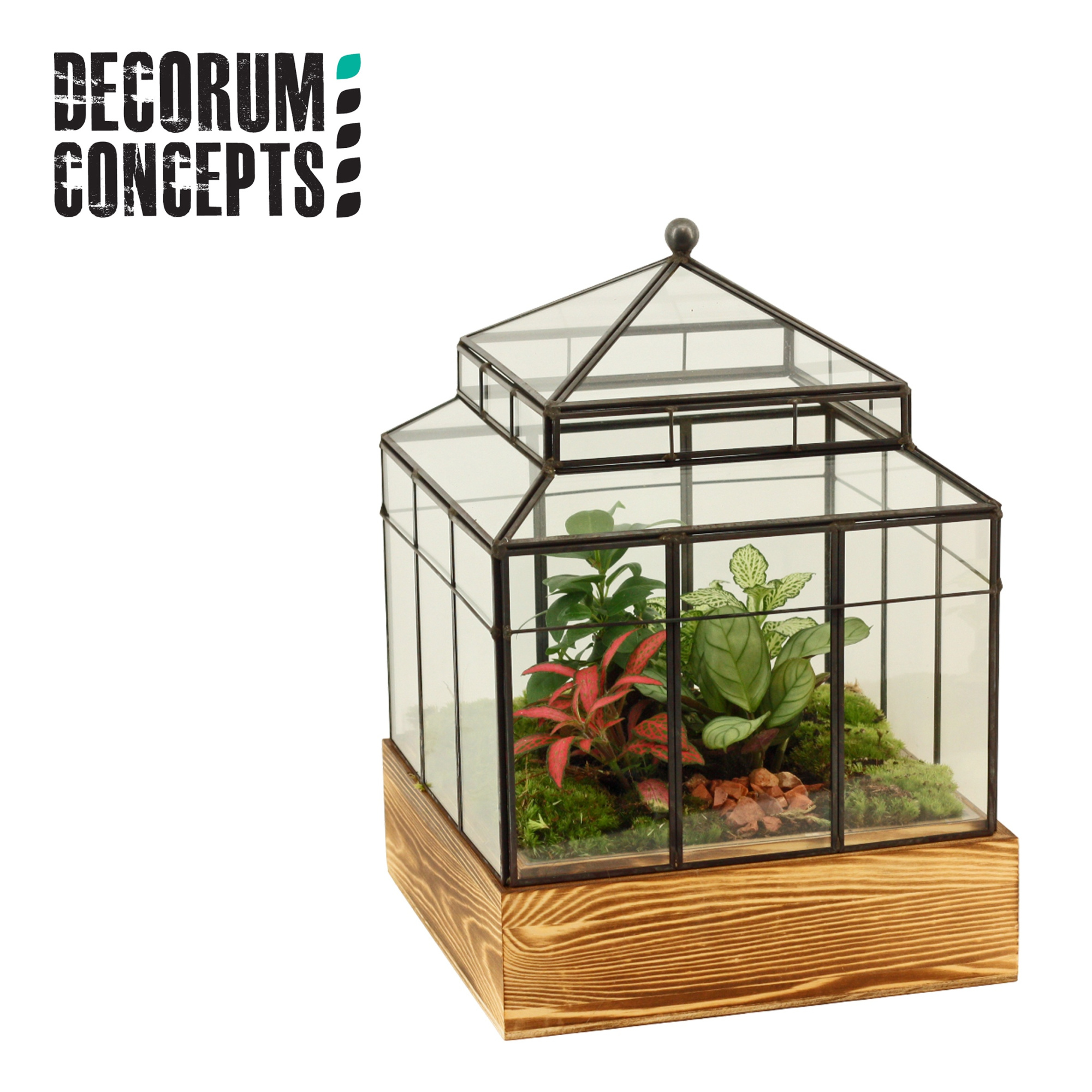 Terrarium Wardian Case One (Decorum concepts), D 32