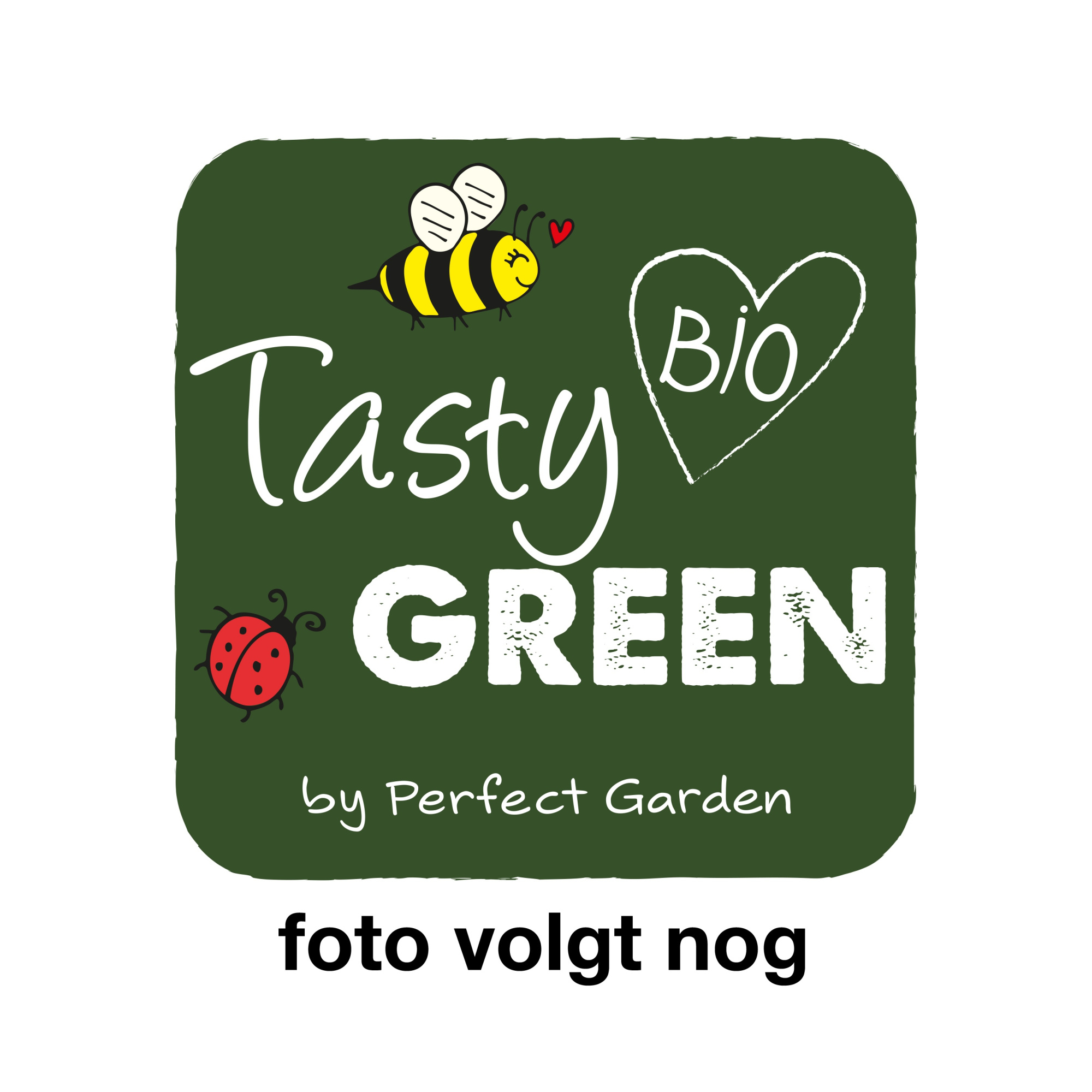 Morus nigra Mulle Bio P23, D 23