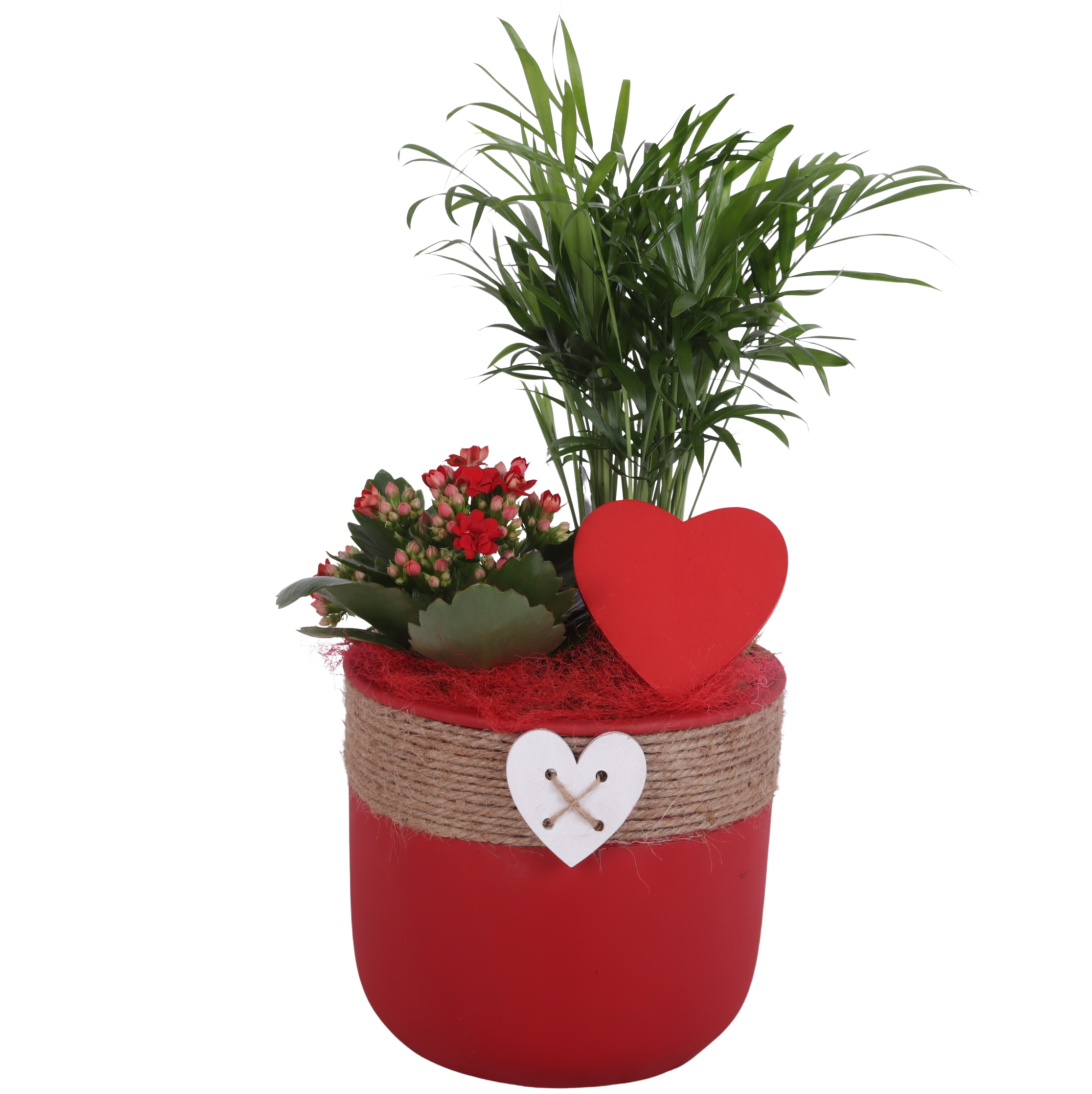 Valentine Arr. Indoor Ceramic Pot Round Rope Heart Red Ø17cm 2PP, D 17