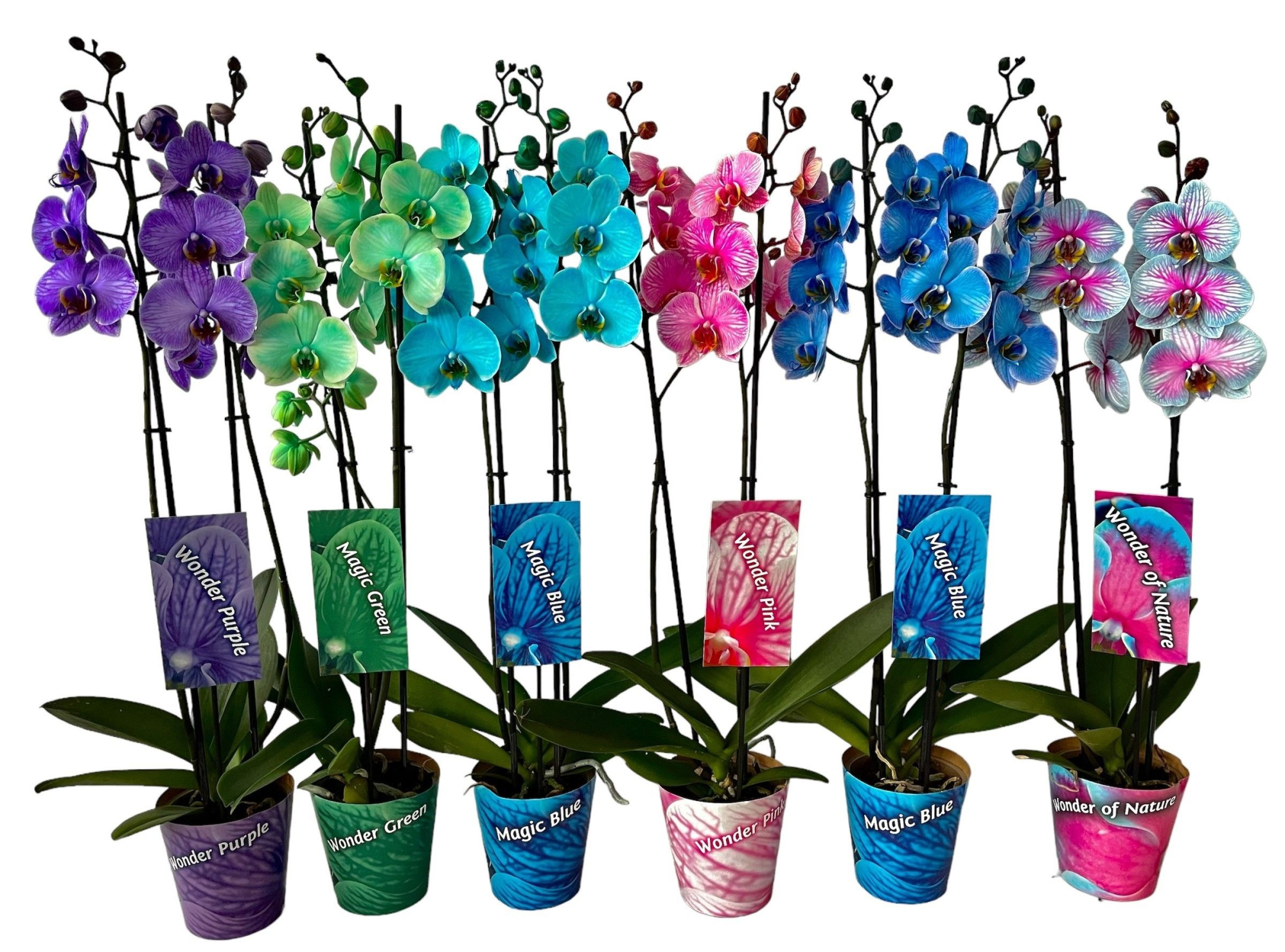 2 tak mix ton sur ton potcover en etiket, D 12 cm