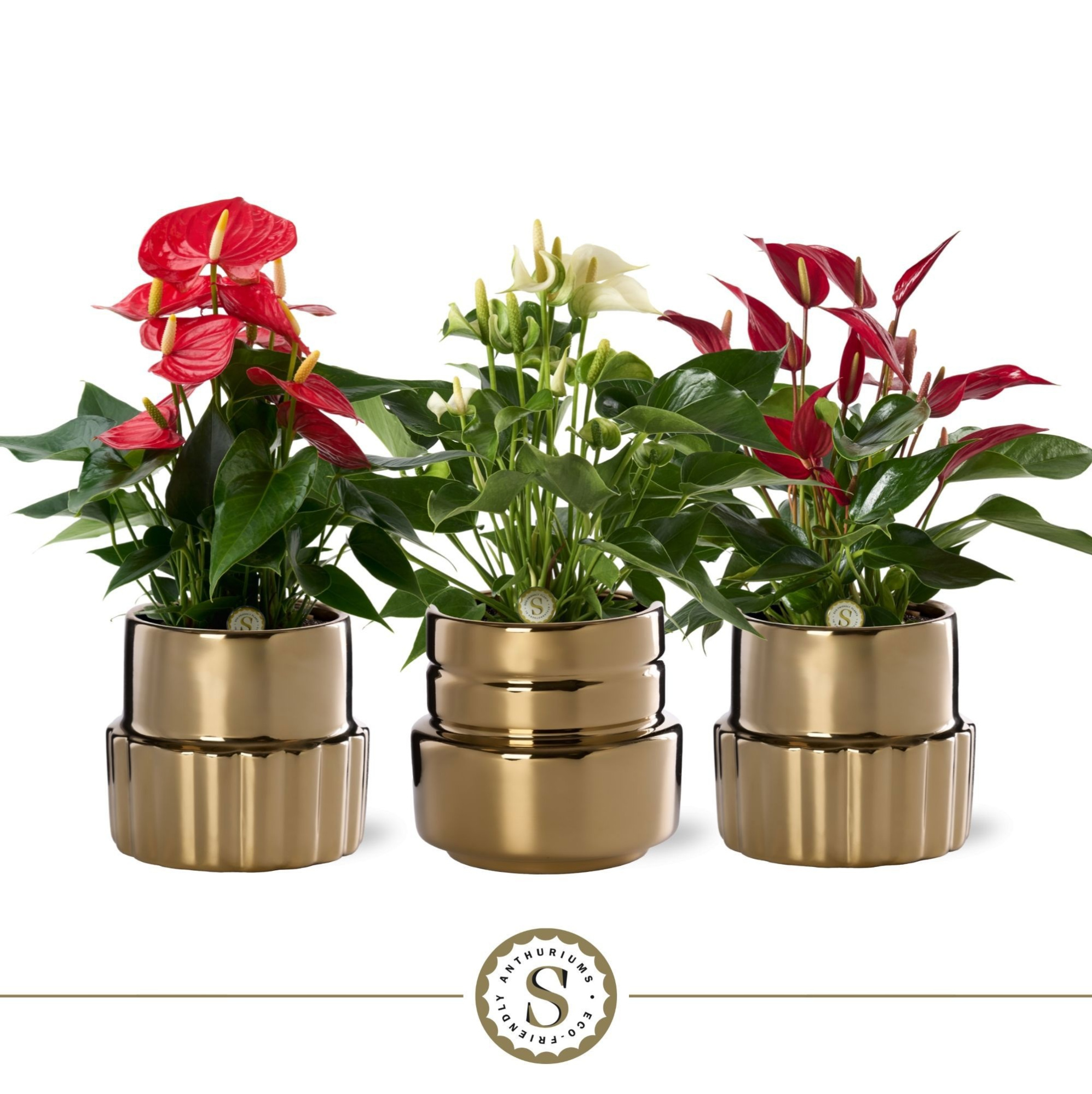 Oslo Gold Keramiek 12cm Mix, D 12 cm