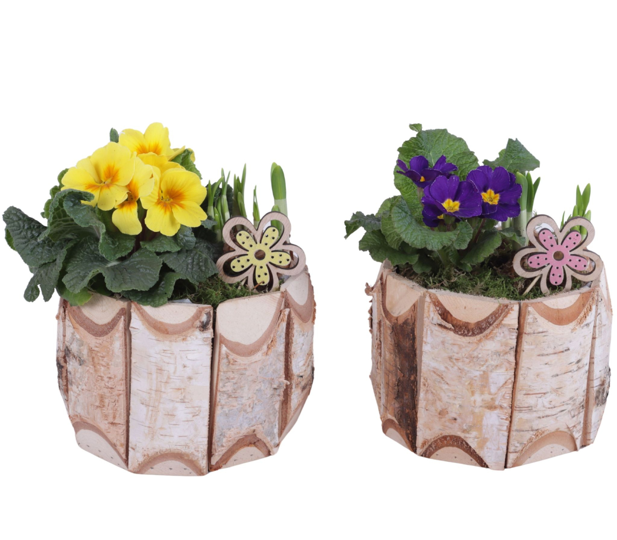 Early Spring Arr. Outdoor Wooden Pot Round Birchwood Ø17cm 2PP, D 17