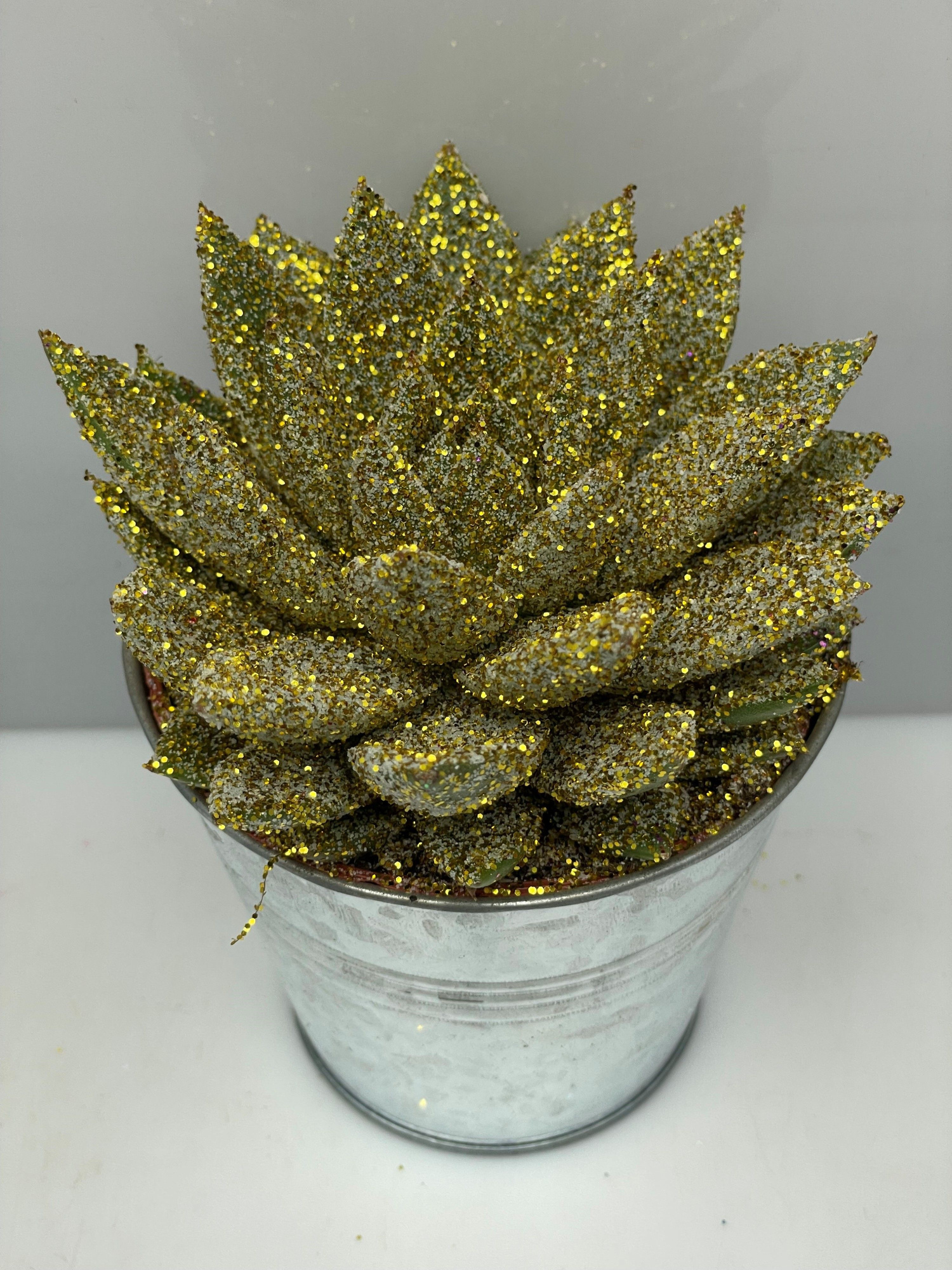 462kerstster BIO Twinkle glitter goud zinkpot8,5cm, D 9,5 cm