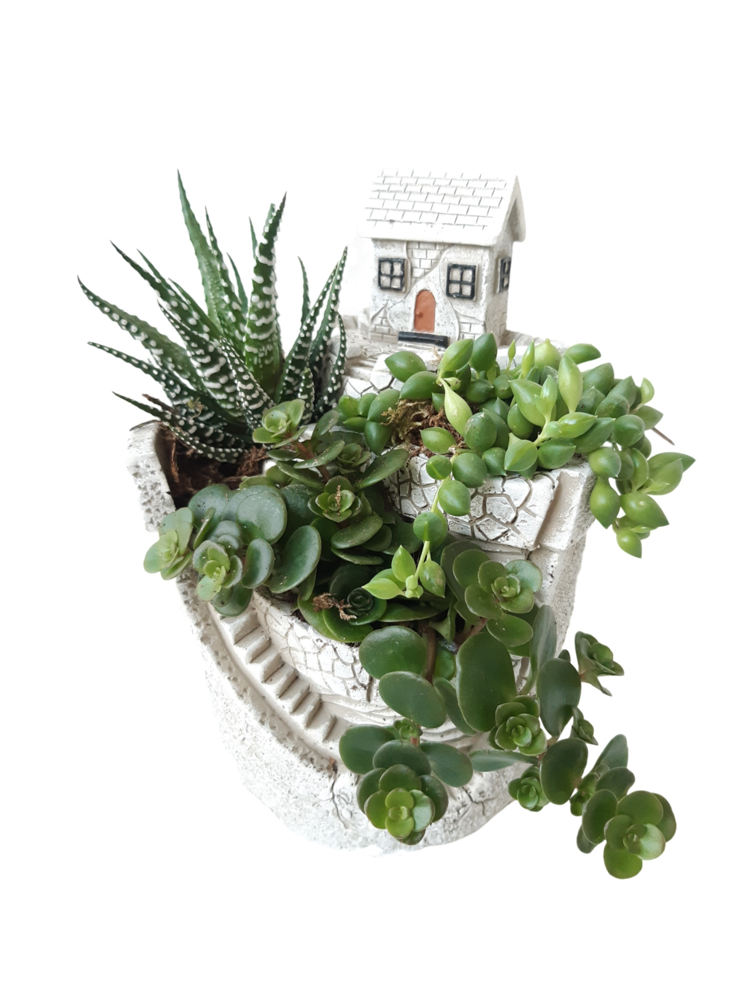 NEW 2026 MGP12 Mini Garden Pot 12cm, D 12