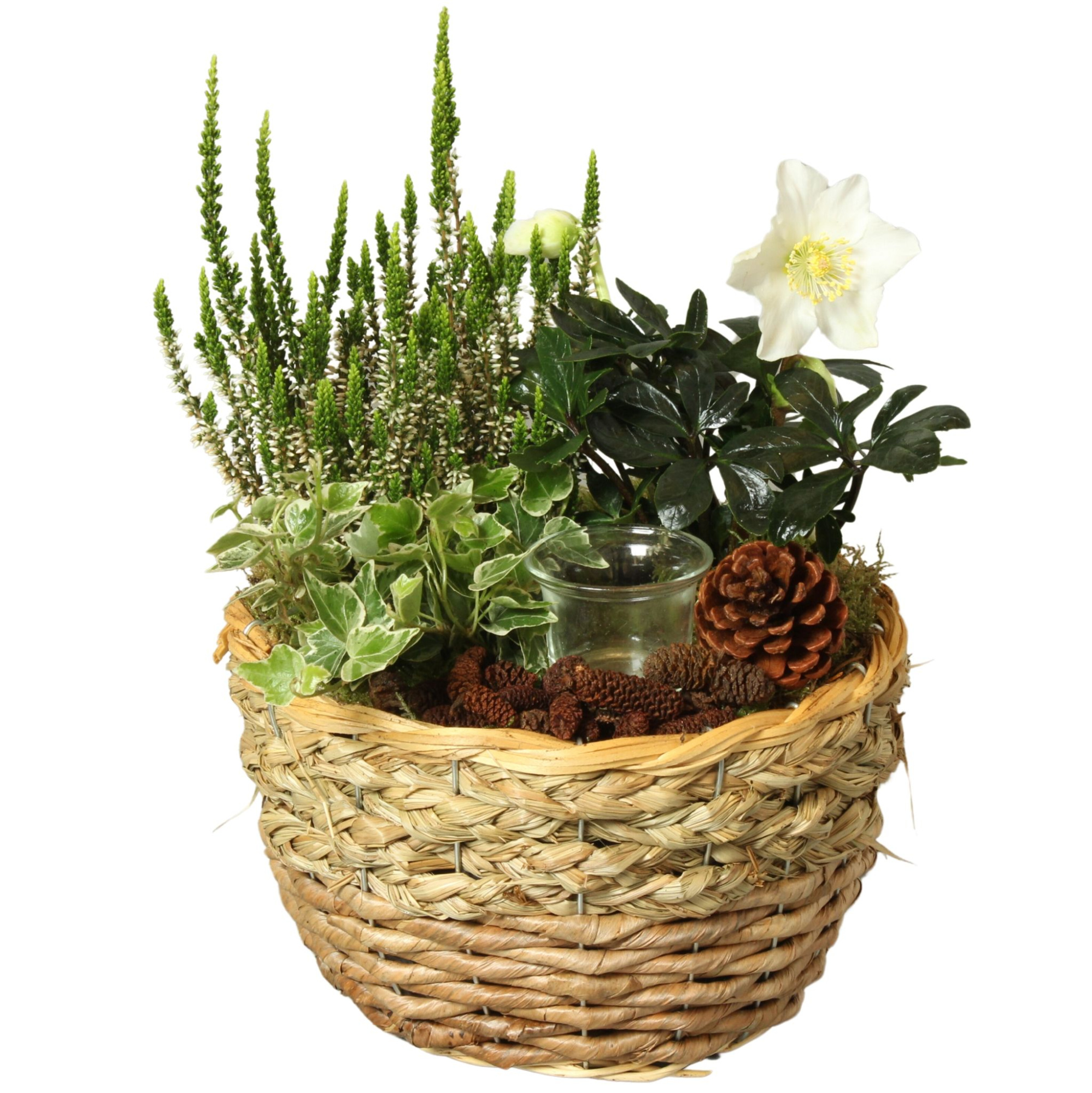 All Saints Arr. Outdoor Willow Basket Round Bananaleaf Ø25cm 3PP, D 25 cm