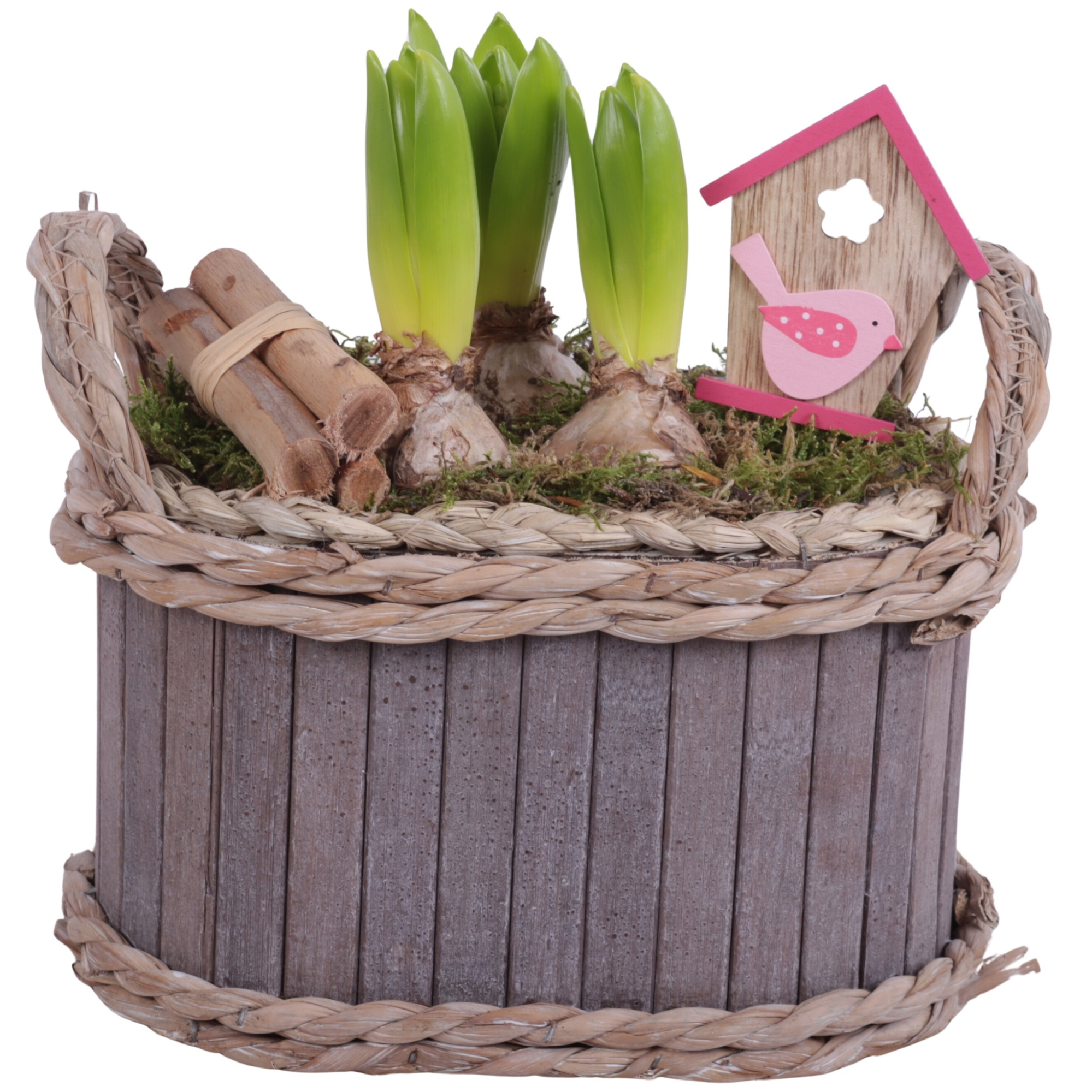 Bulbs Arr. Hyacint Wooden Pot Oval Waterhyacint Rim Ø22cm 3PP, D 22