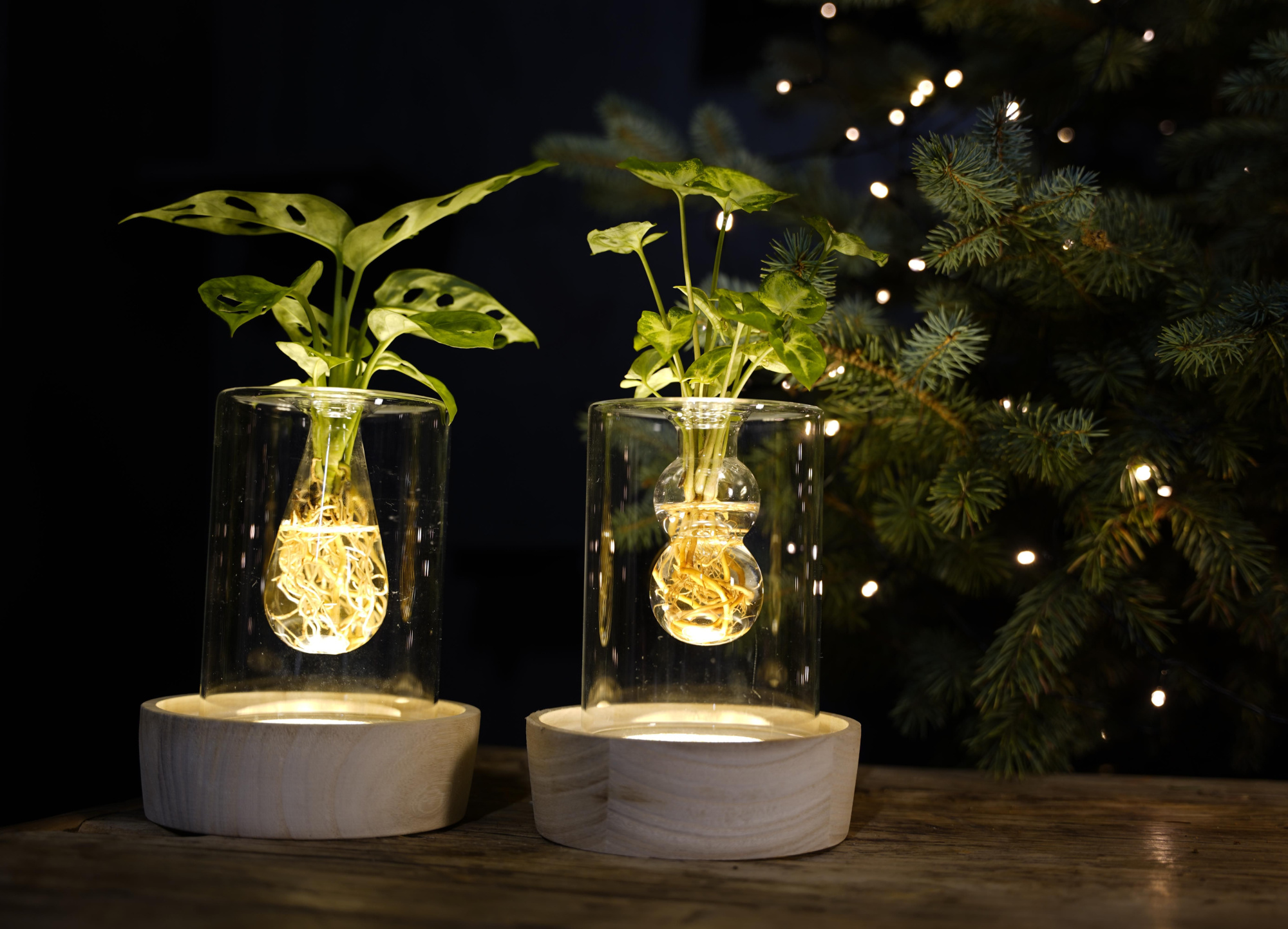 Christmas | Mix in Sydney glas + LED, D 7 cm