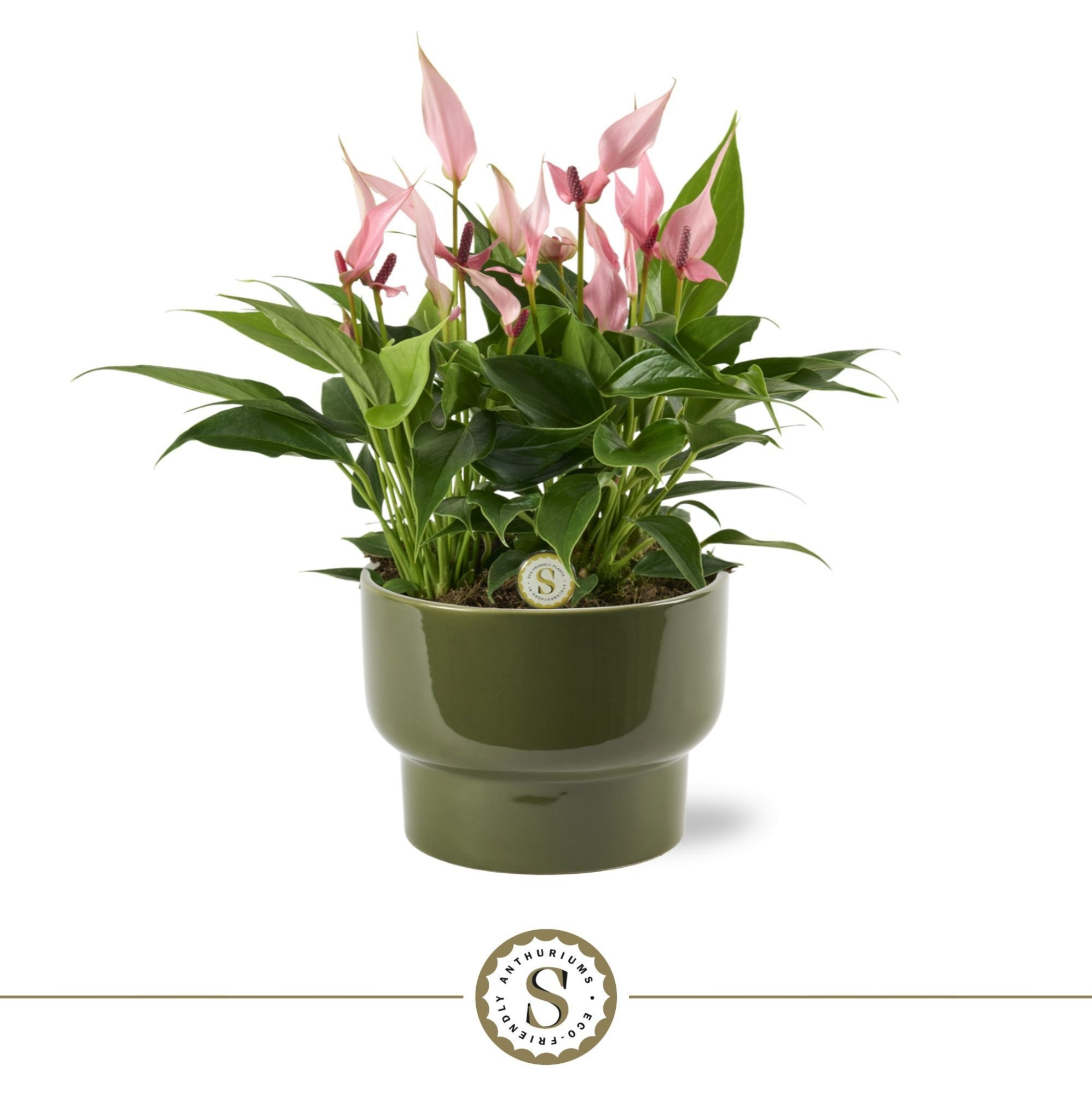 Athene Keramiek Green - Lilli, D 17