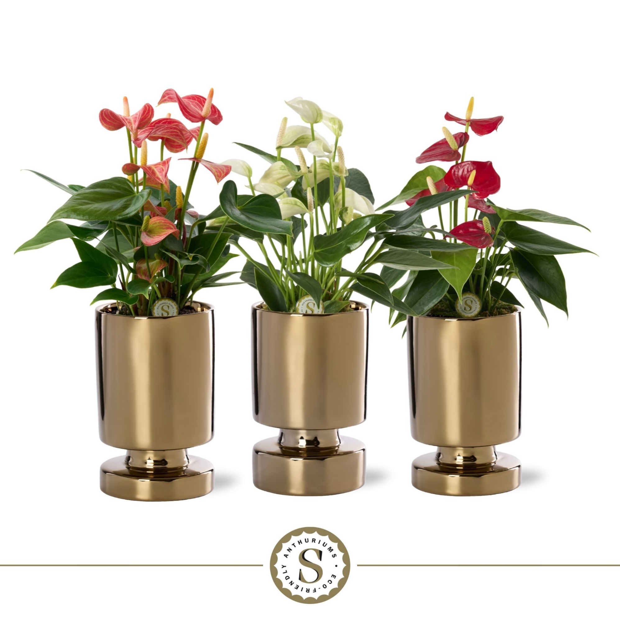 Stockholm Gold Keramiek 9cm Mix, D 9 cm