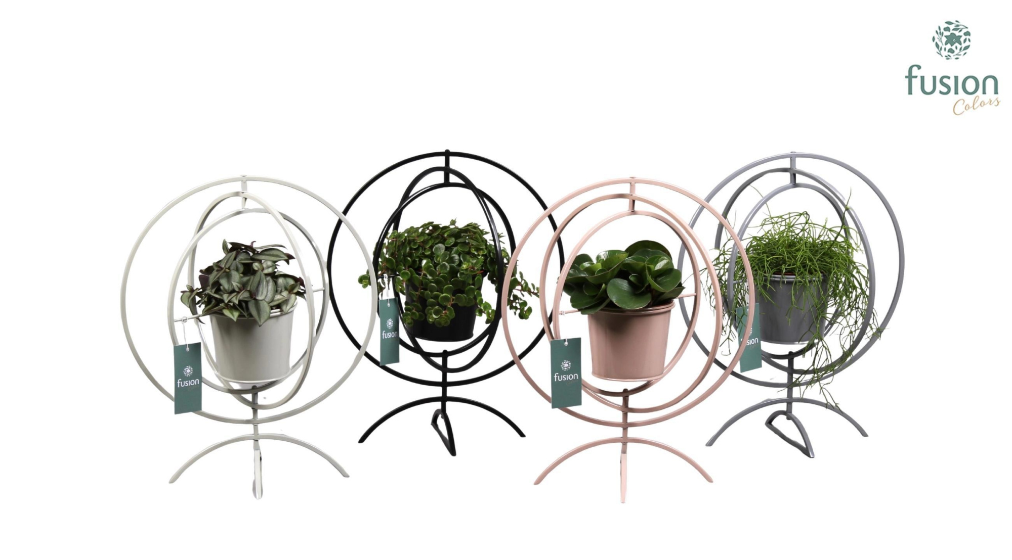 Globe metaal 4 kleuren Large met Groene Planten, D 30