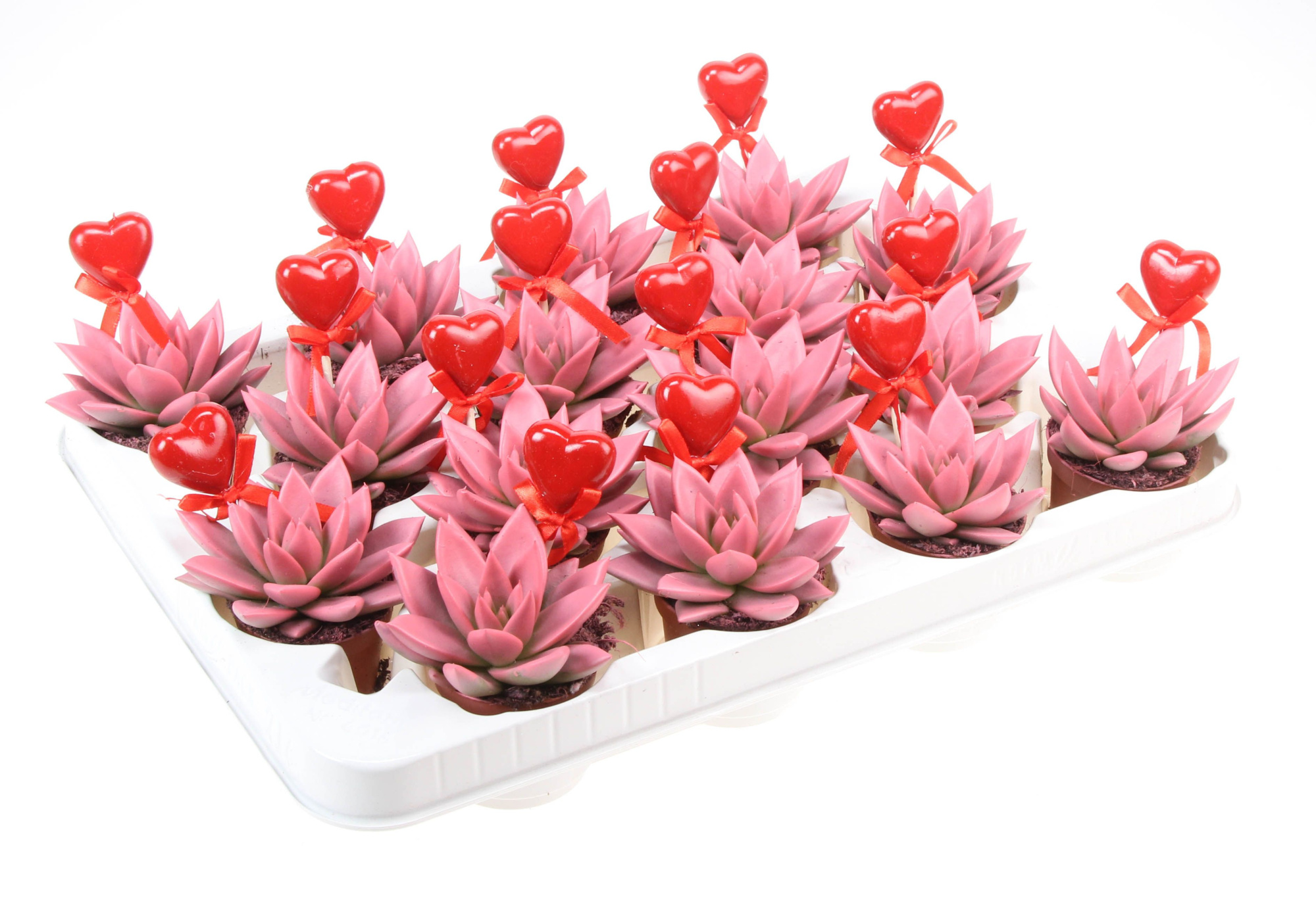 Miranda roze+hartje, D 6 cm