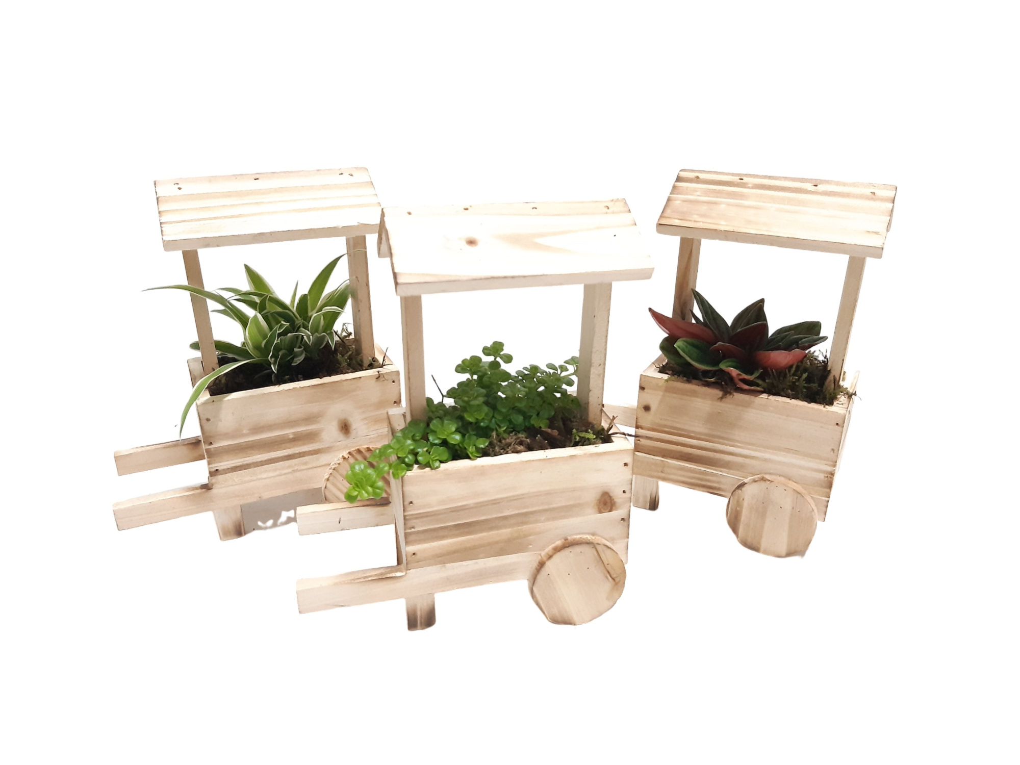 HT16MK Houten Marktkraam 16cm Gemengd, D 16 cm