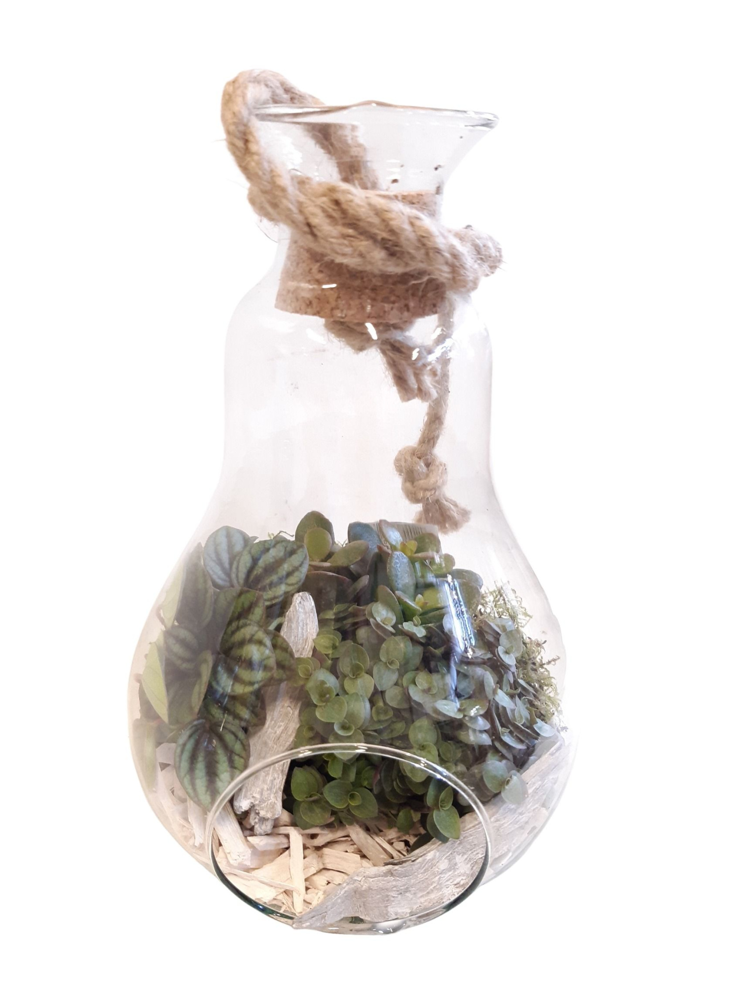 812 WHI Terrarium +Kurk+touw succ.mix White deco, D 14 cm