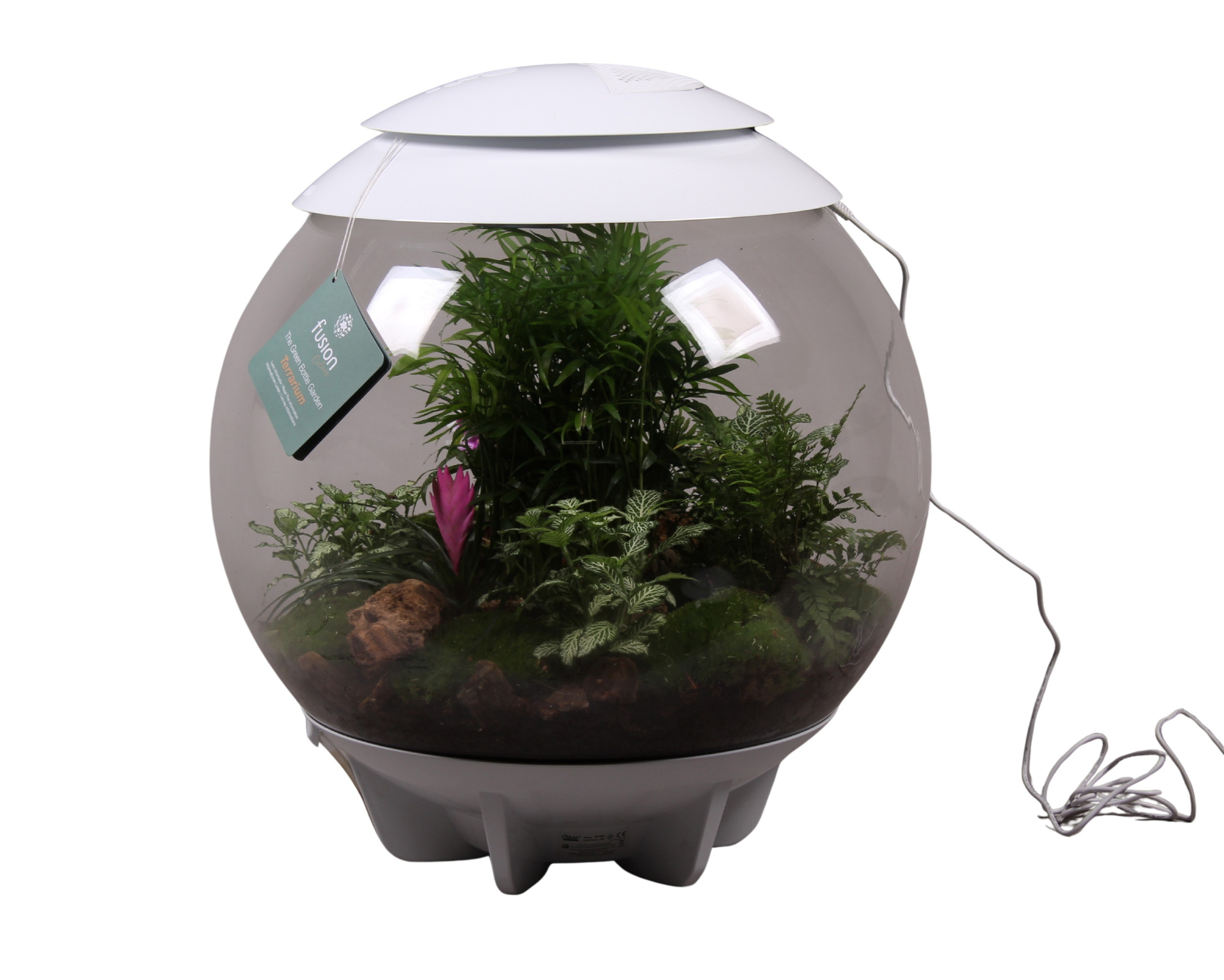 Terrarium XXL Exclusive wit met arrangement, D 45