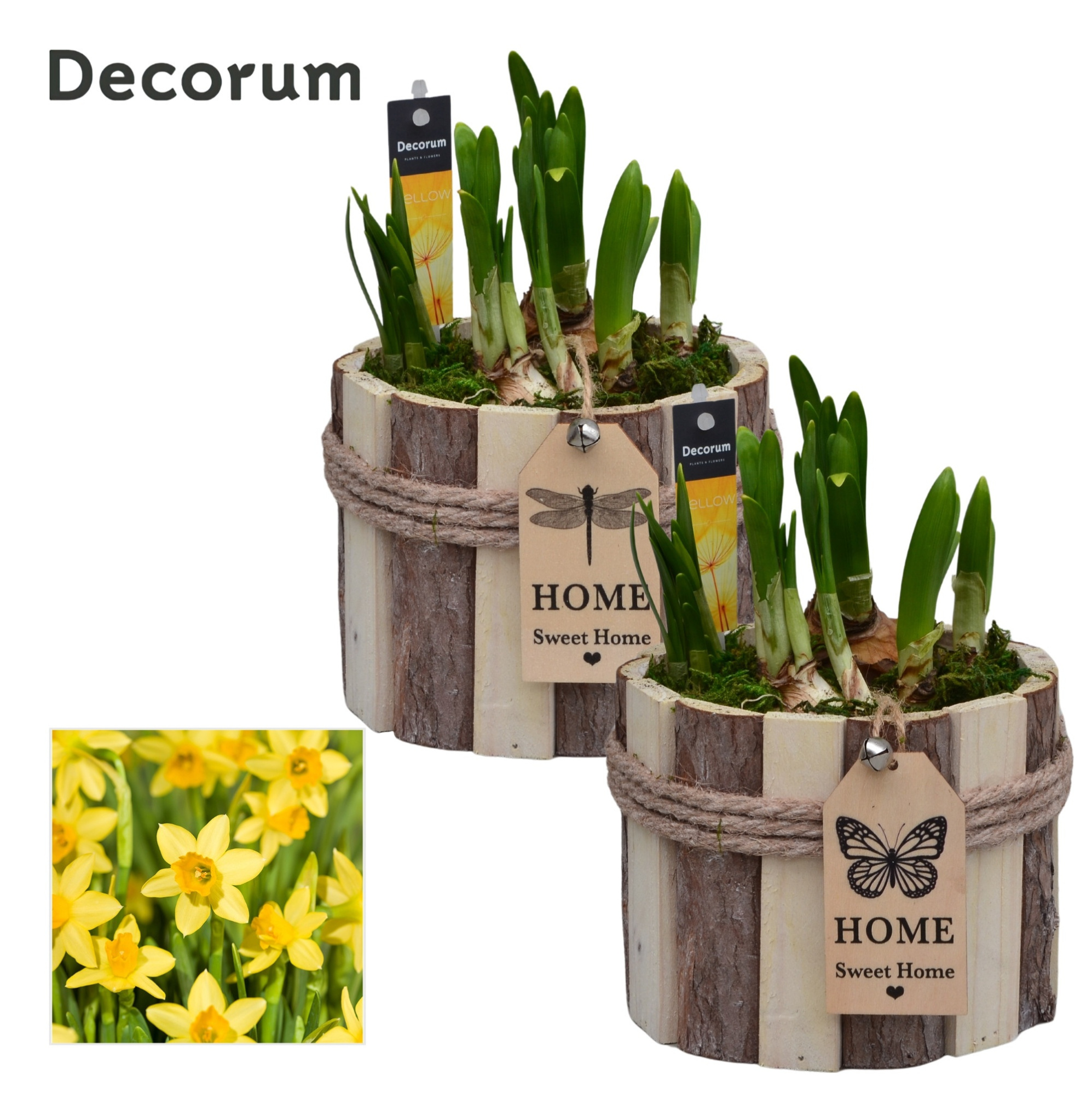 Narcis Tak Rond HL17763N, D 14