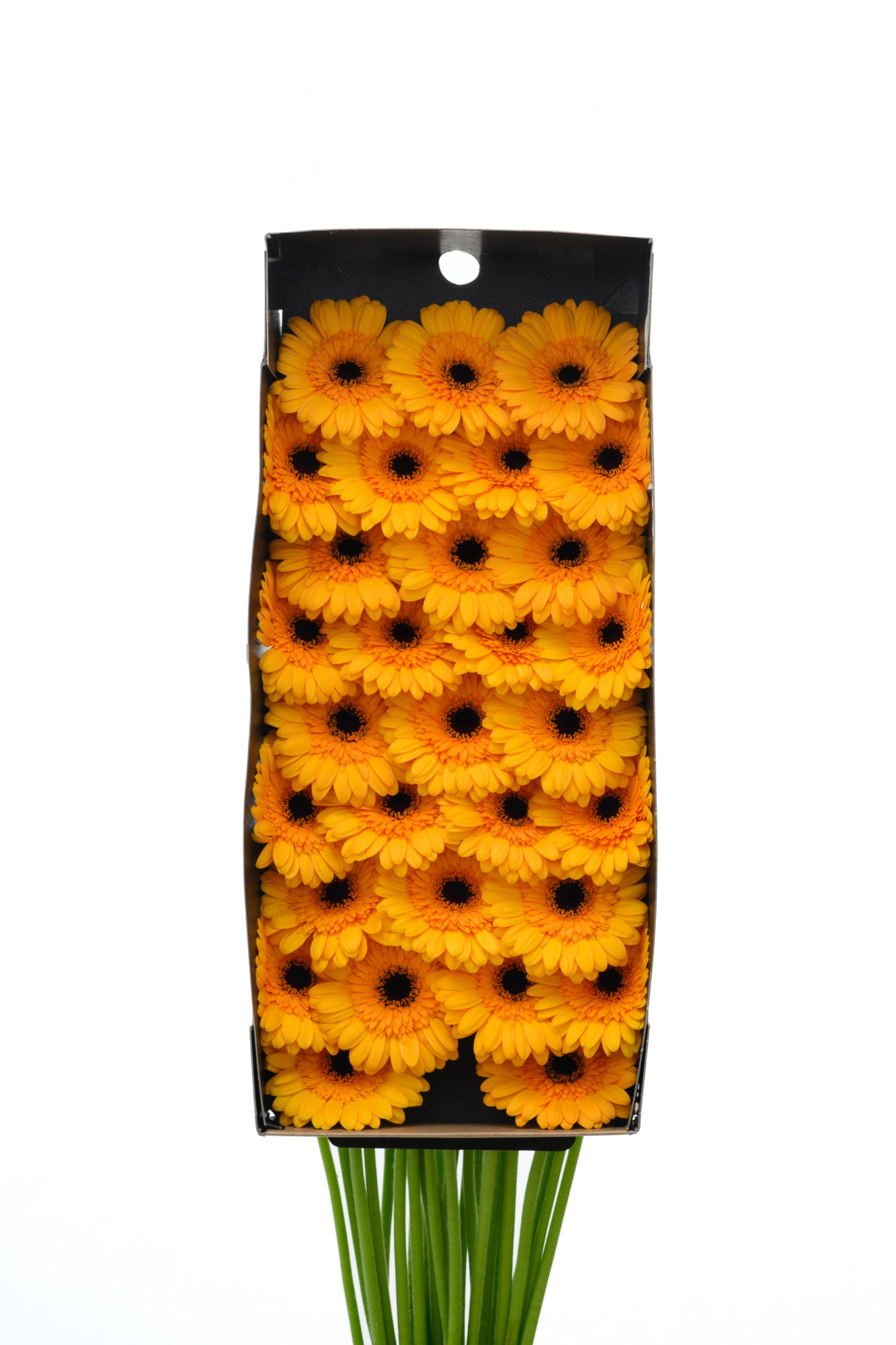 Гермини Твити x60, шт.