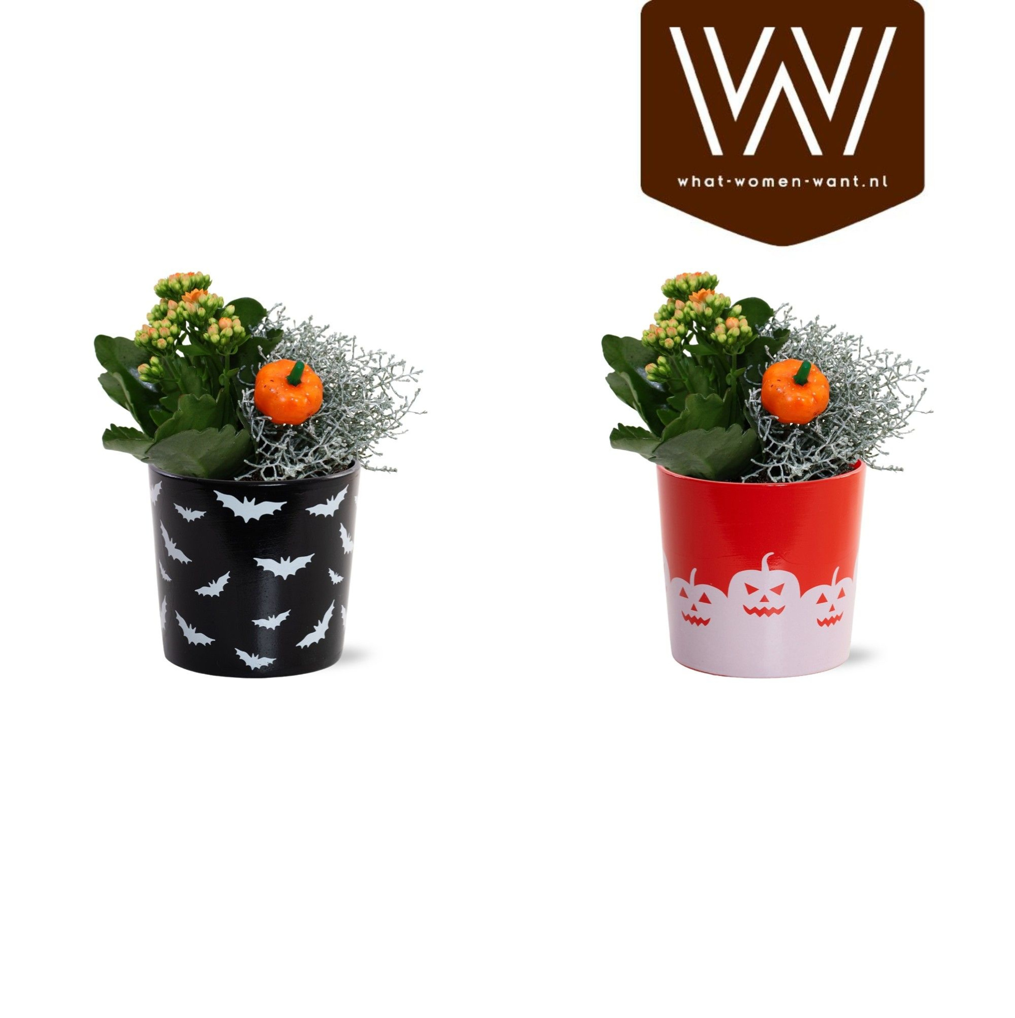Collectie "Tasty Bubble" Arrangement in Keramiek Vibe Halloween, D 13 cm