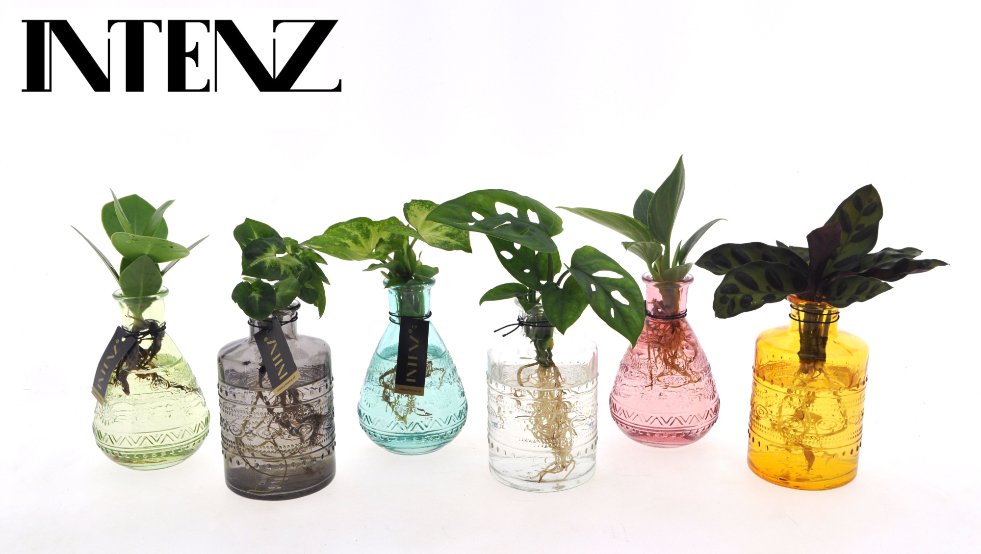 Mix in Salinas glas - levertijd: 24 uur, D 7 cm