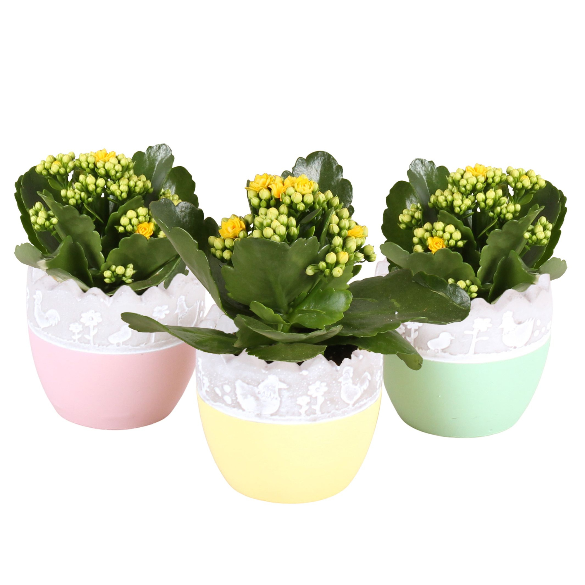 Easter Arr. Indoor Ceramic Twotone Egg Ø09cm 1PP, D 9